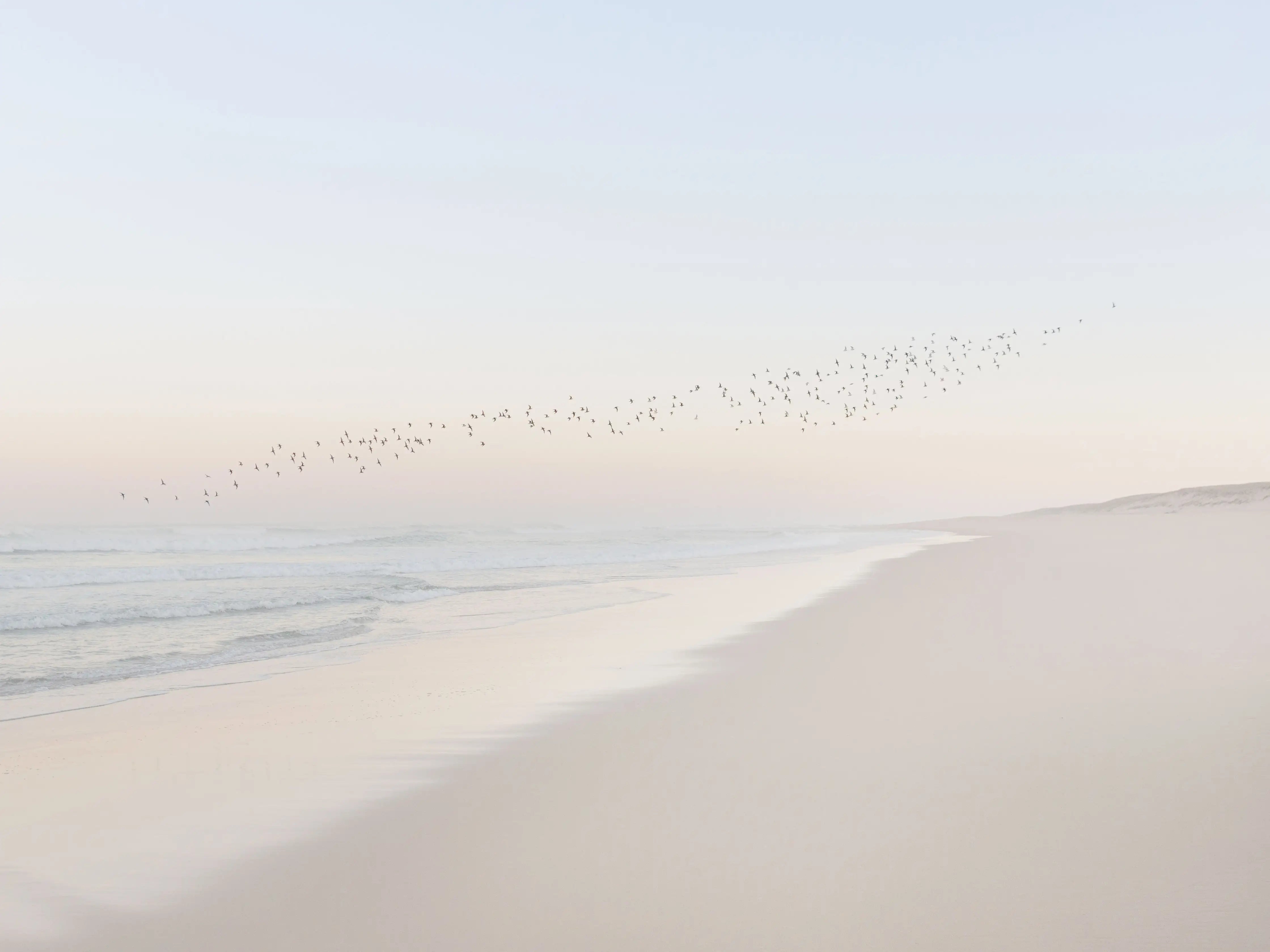 La série "Entre deux vagues" d'Alexandre Chamelat