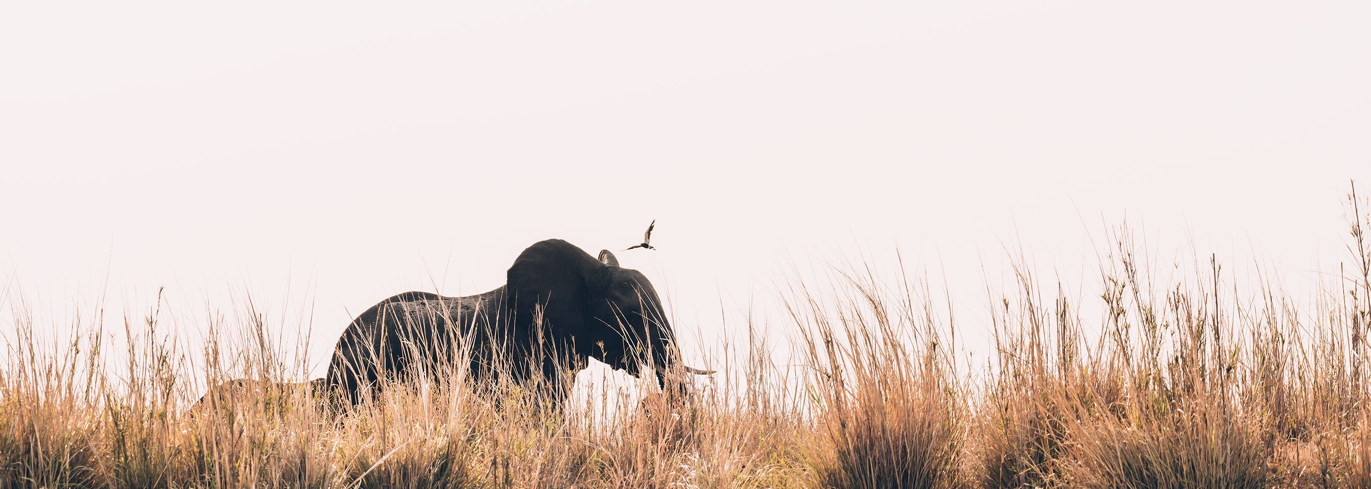 cadeaux-photo-pour-fan-de-voyage-photo-bestjober