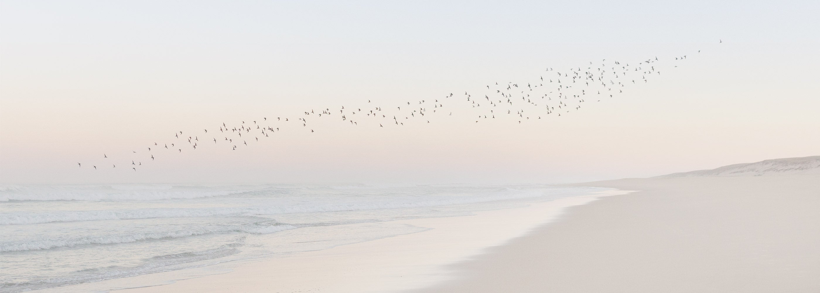 photo-plage-mer-alexandre-chamelat-coup-de-coeur-Artenza