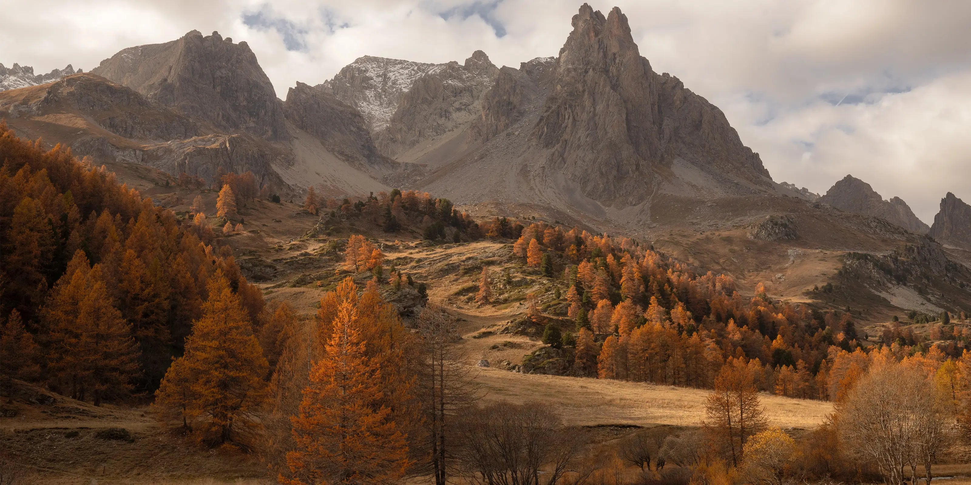 Photos d'art d'automne