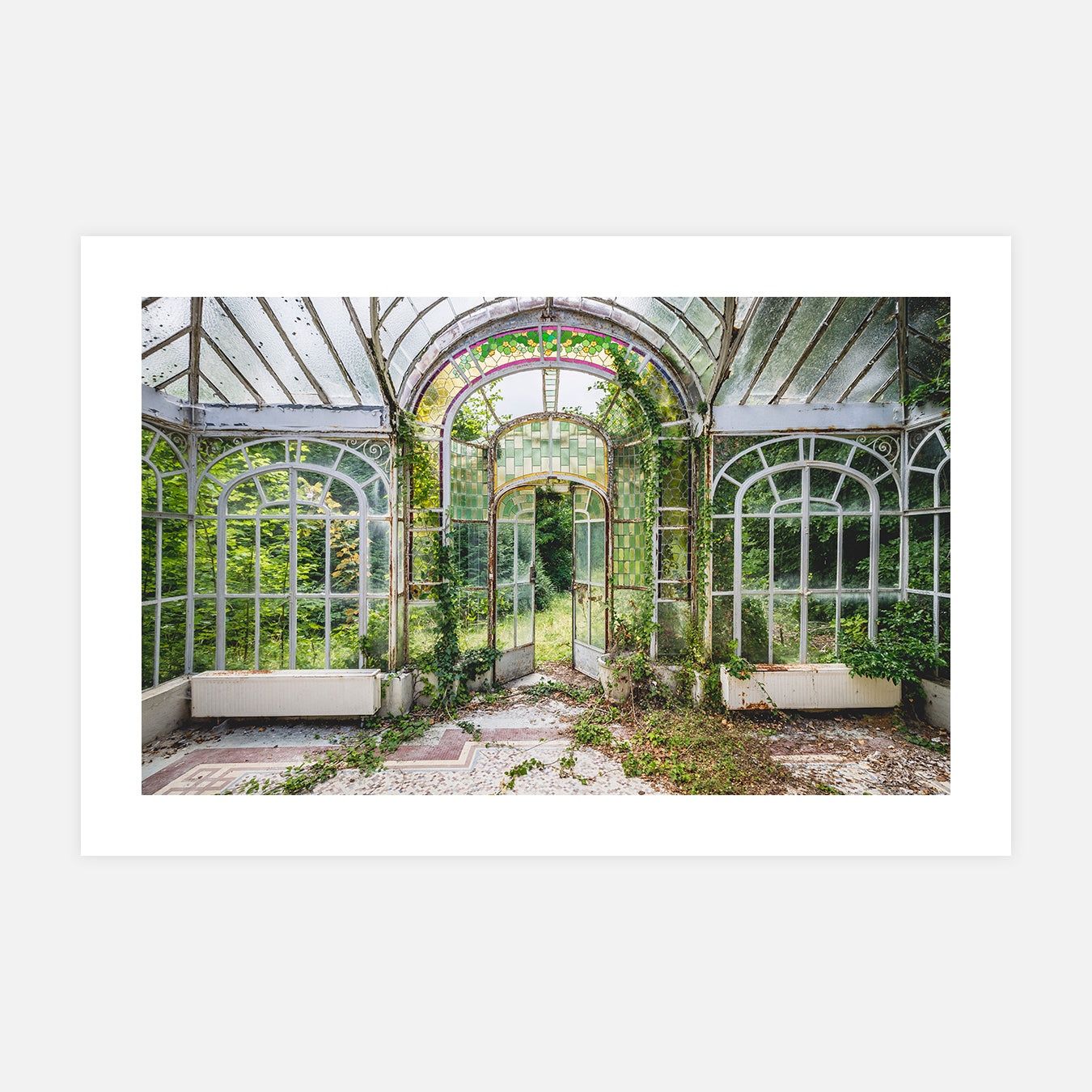 Verrière végétale - Photo d'art