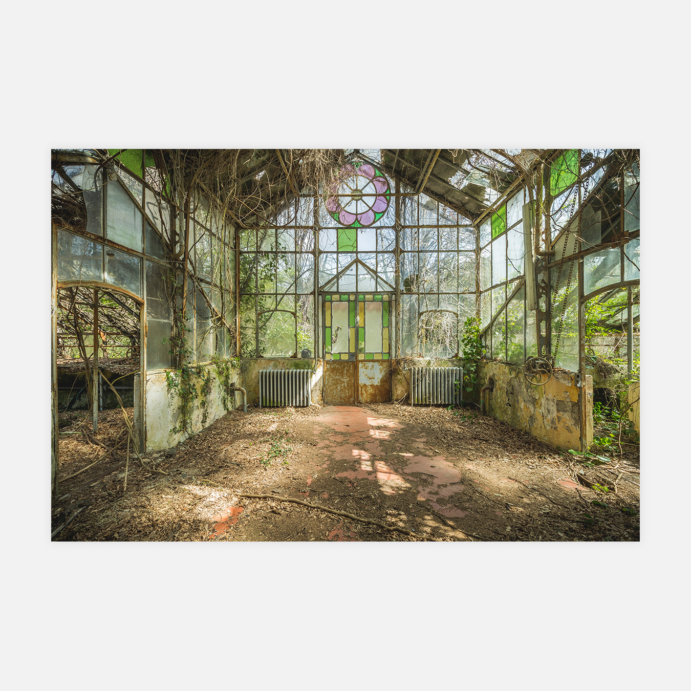 De vert en verre - Photo d'art