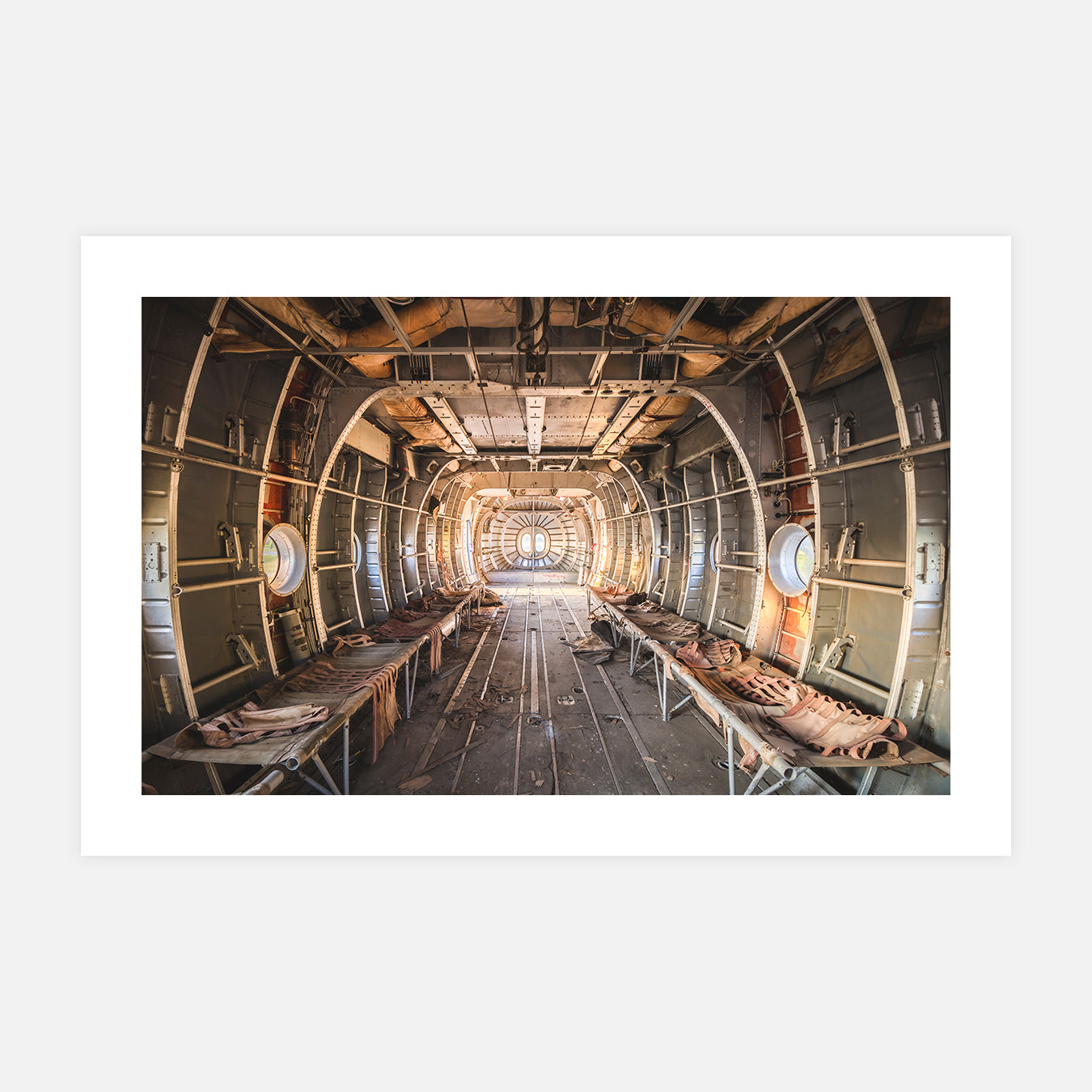 Fly away - Photo d'art