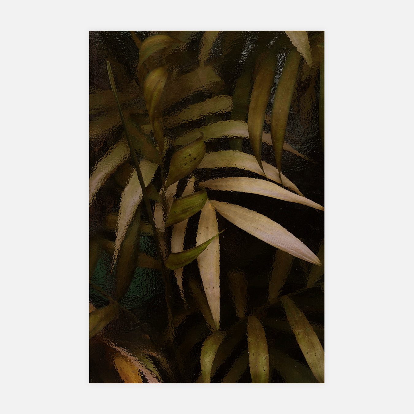 Abysses - Photo d'art