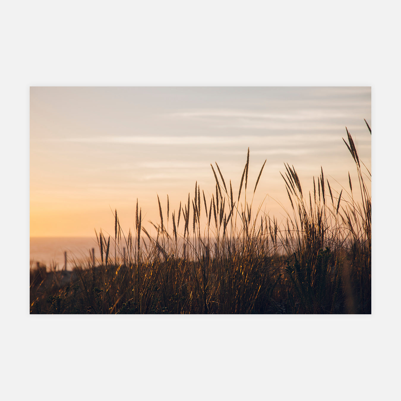 Adelphia - Photo d'art