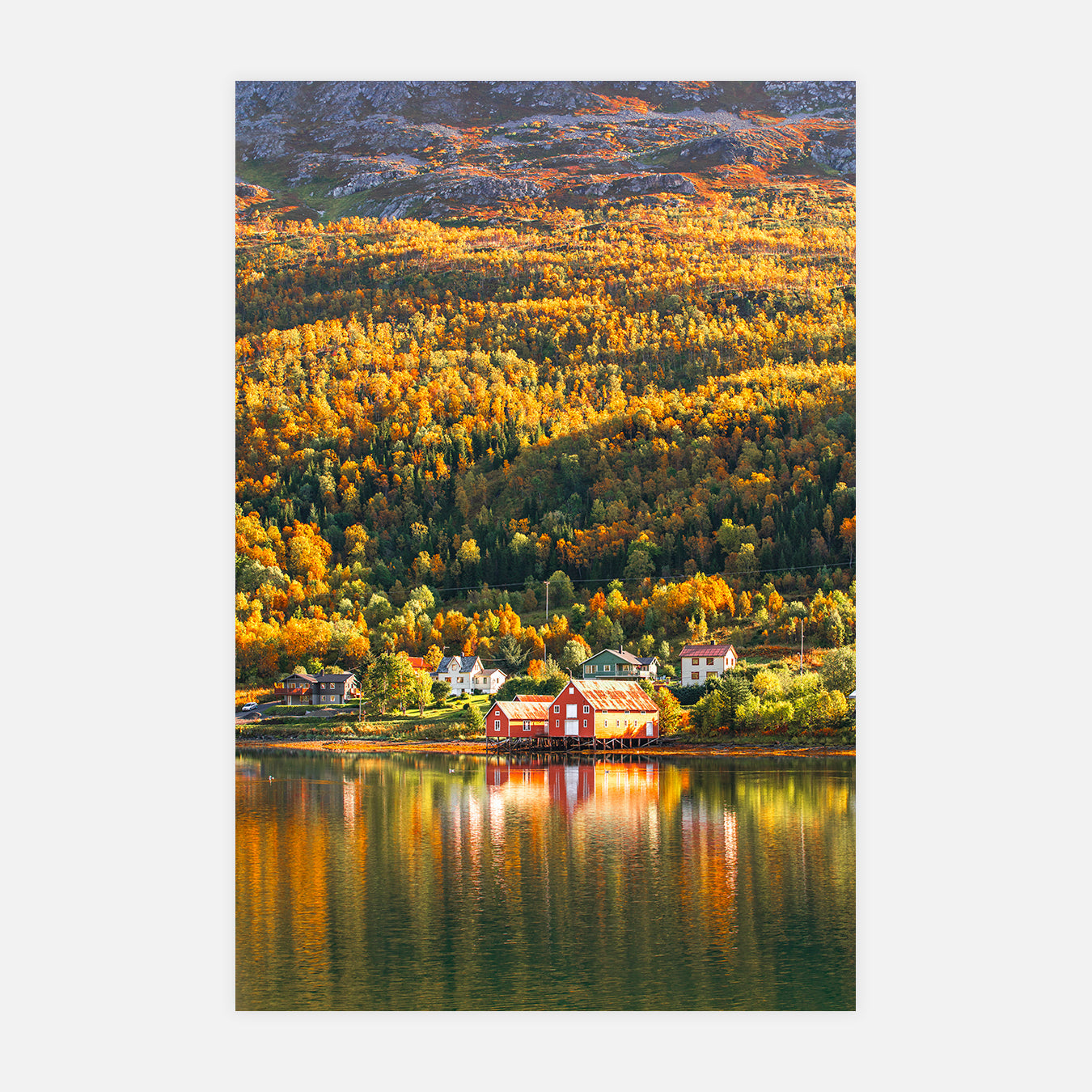 Arctique automnale - Photo d'art