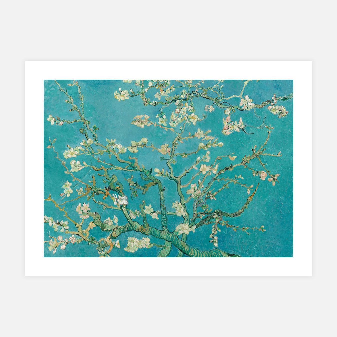 Amandier en fleurs - Peinture d'art