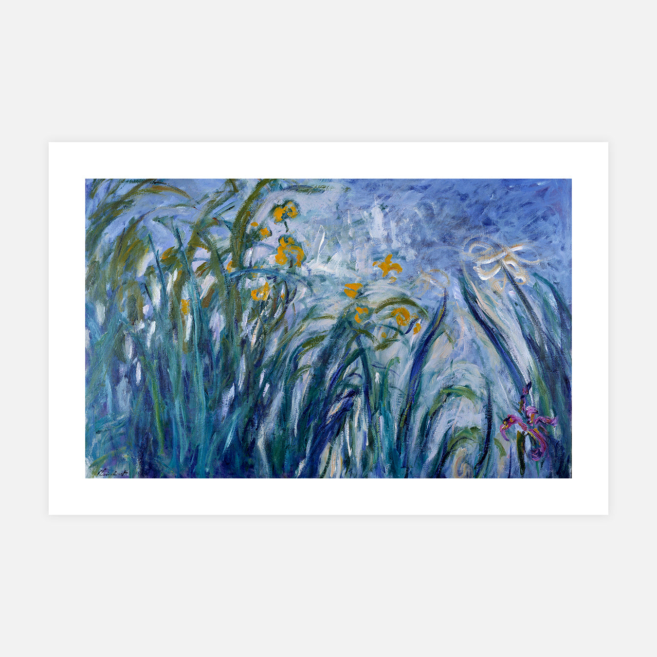 Iris - Peinture d'art