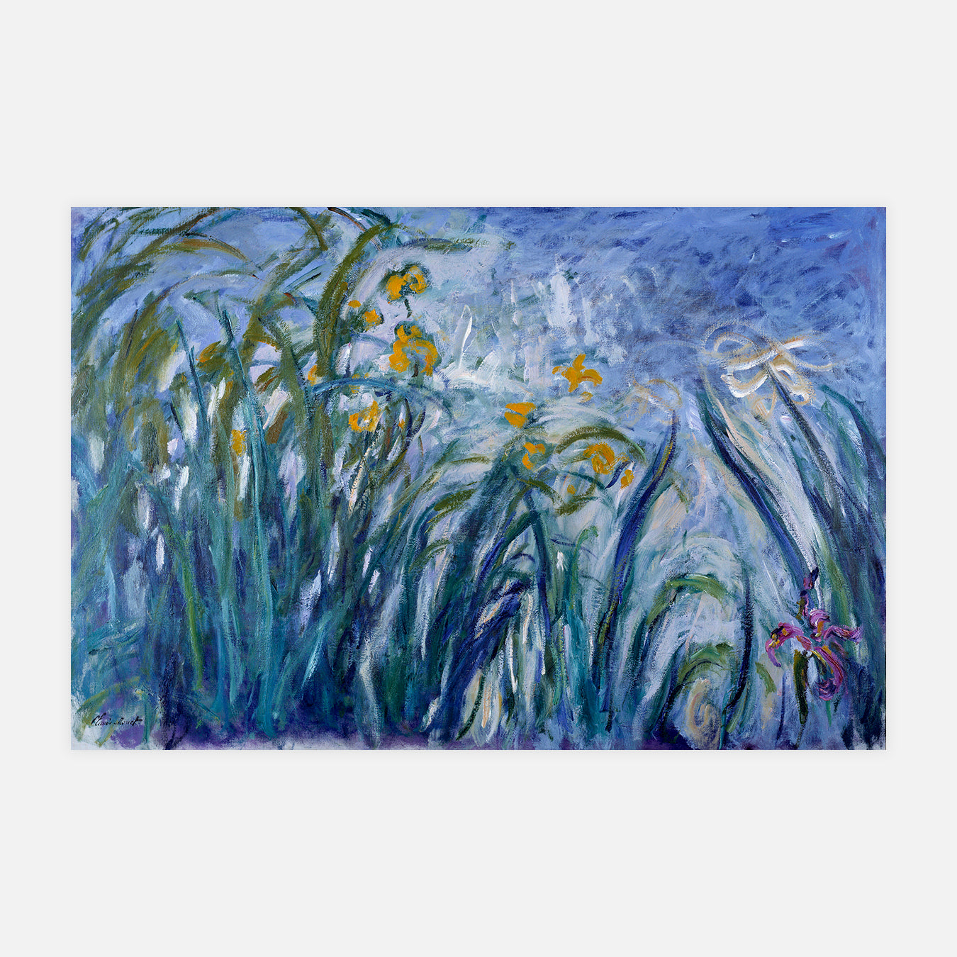 Iris - Peinture d'art