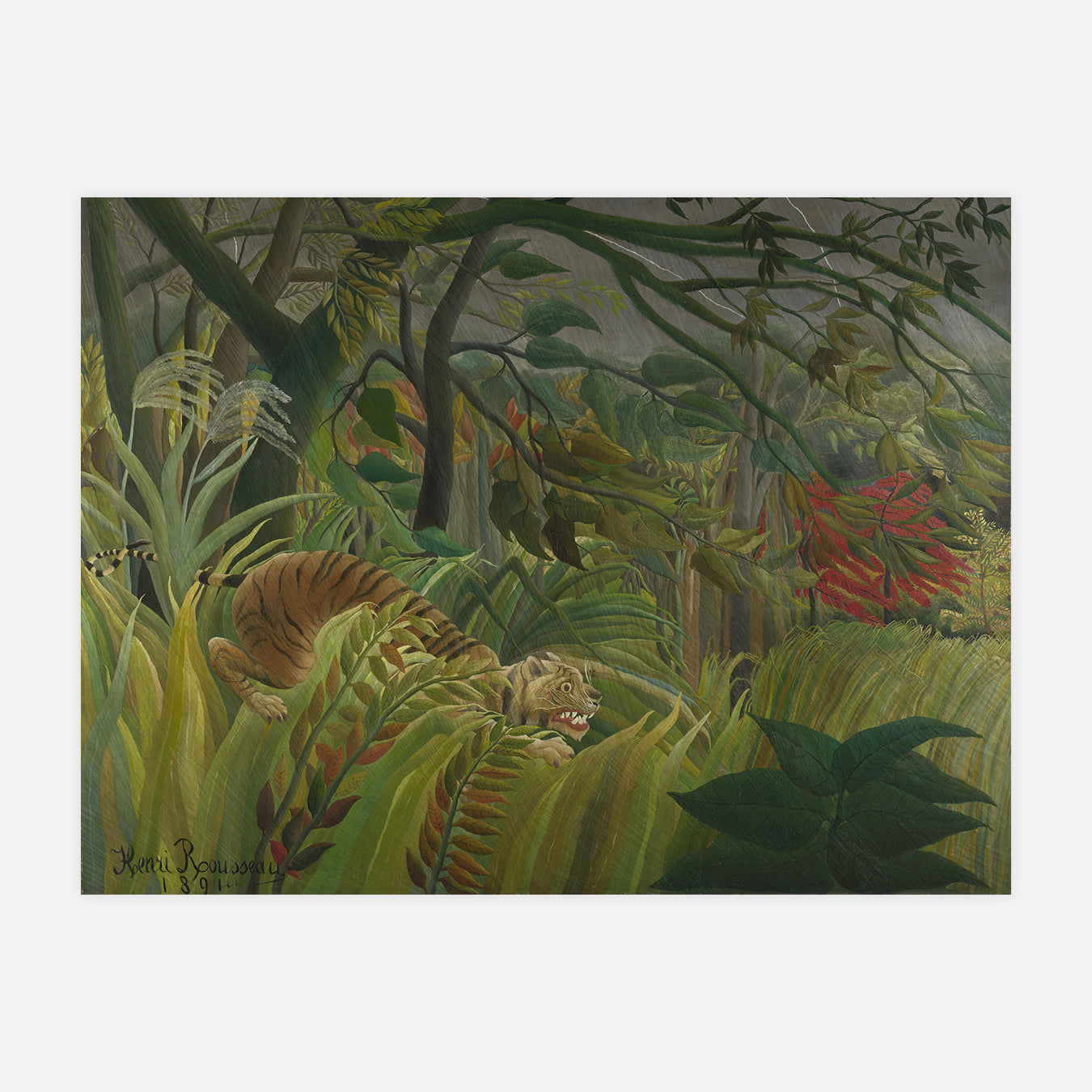 Surpris ! ou Tigre dans une tempête tropicale - Peinture d'art
