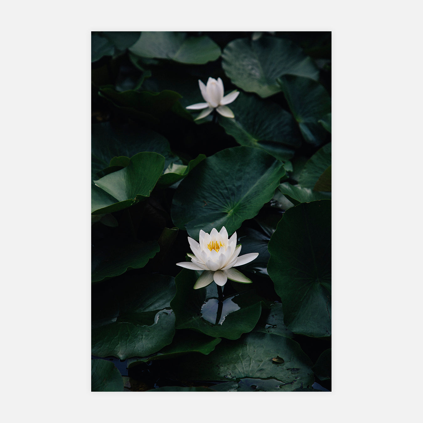 Bastian - Photo d'art