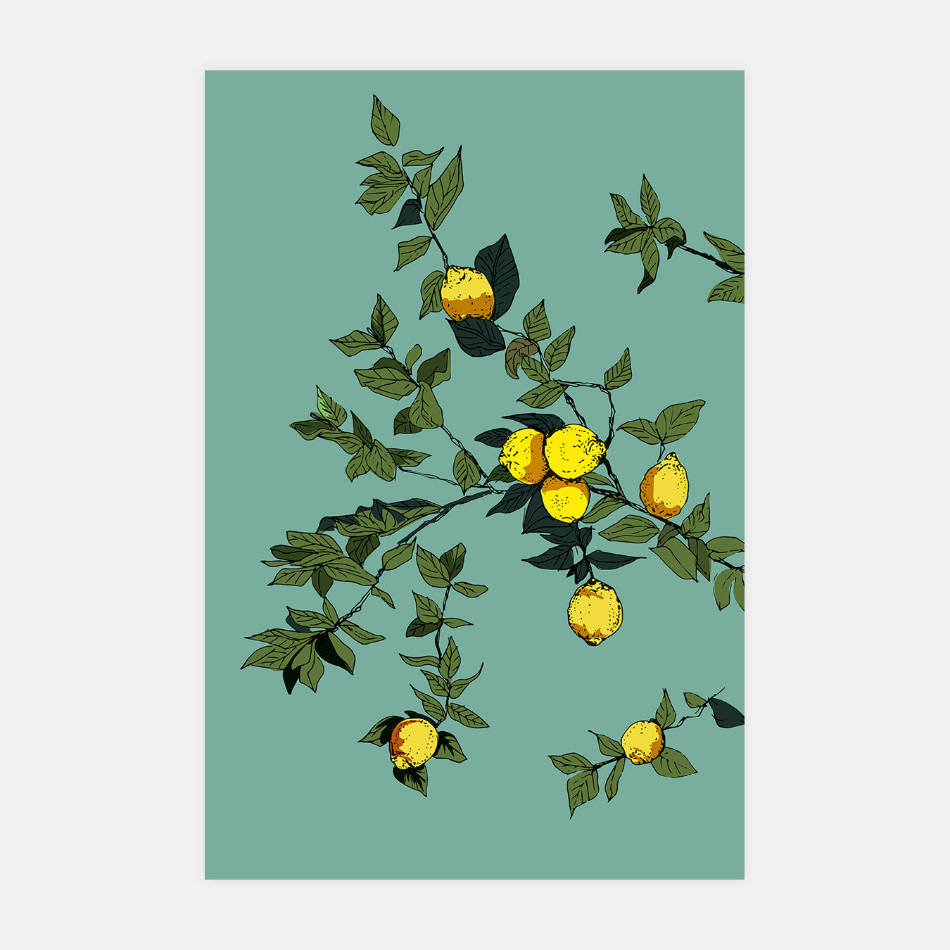 Citrons - Illustration d'art
