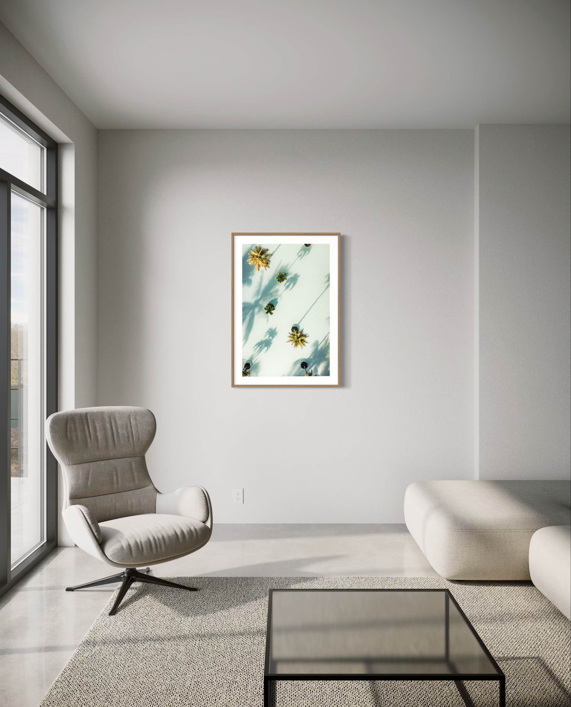 Palmiers - Photo d'art