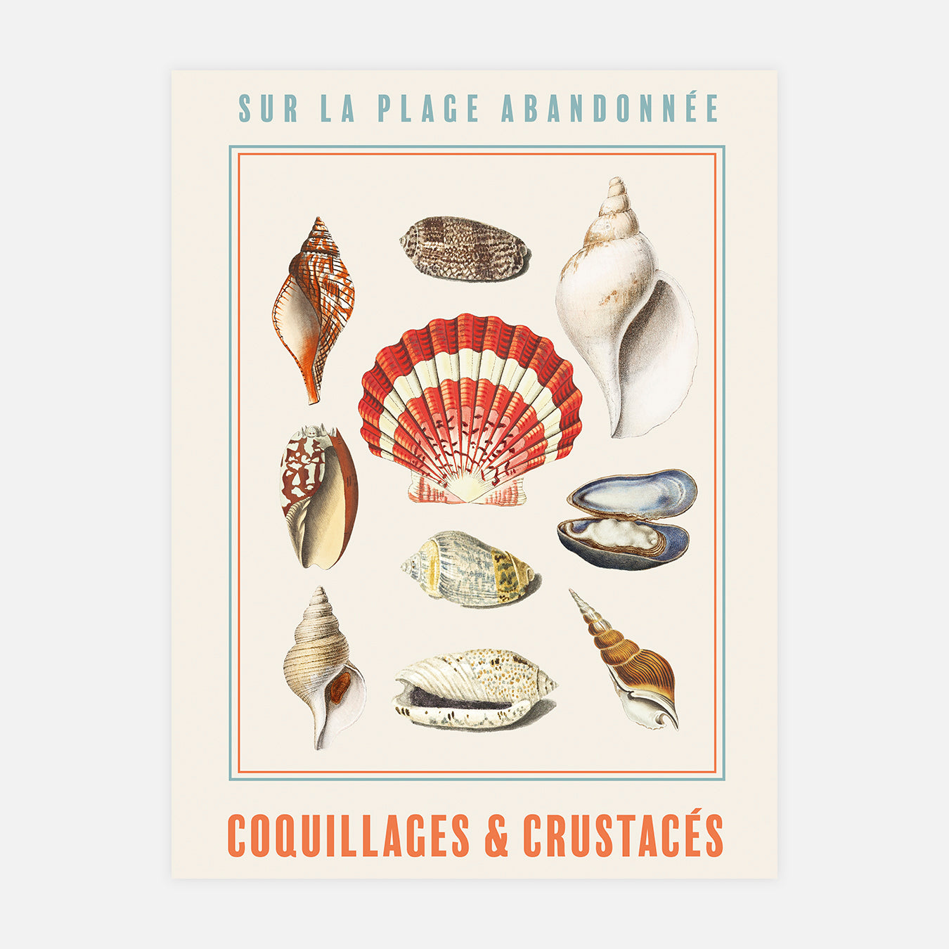 Coquillages et crustacés - Illustration d'art