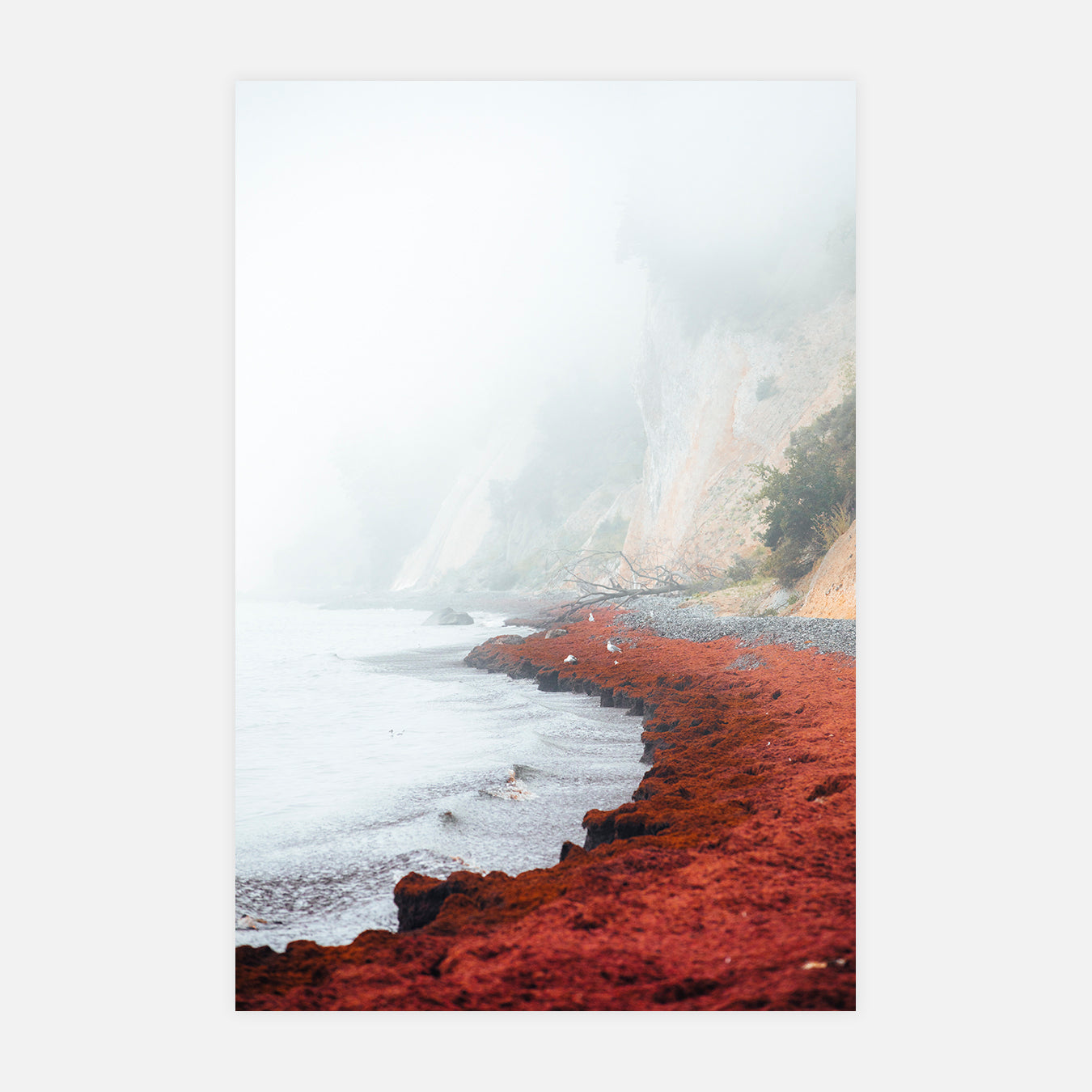 Côte sanglante - Photo d'art