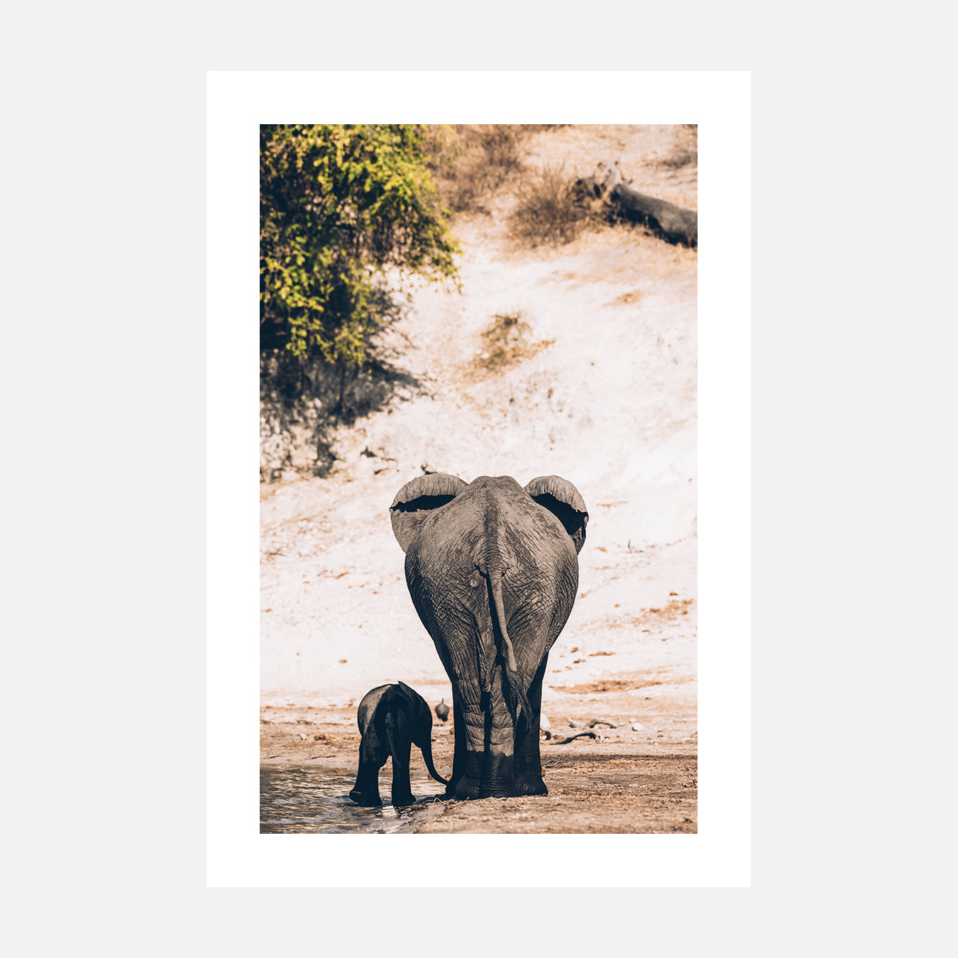 De derrière - Photo d'art