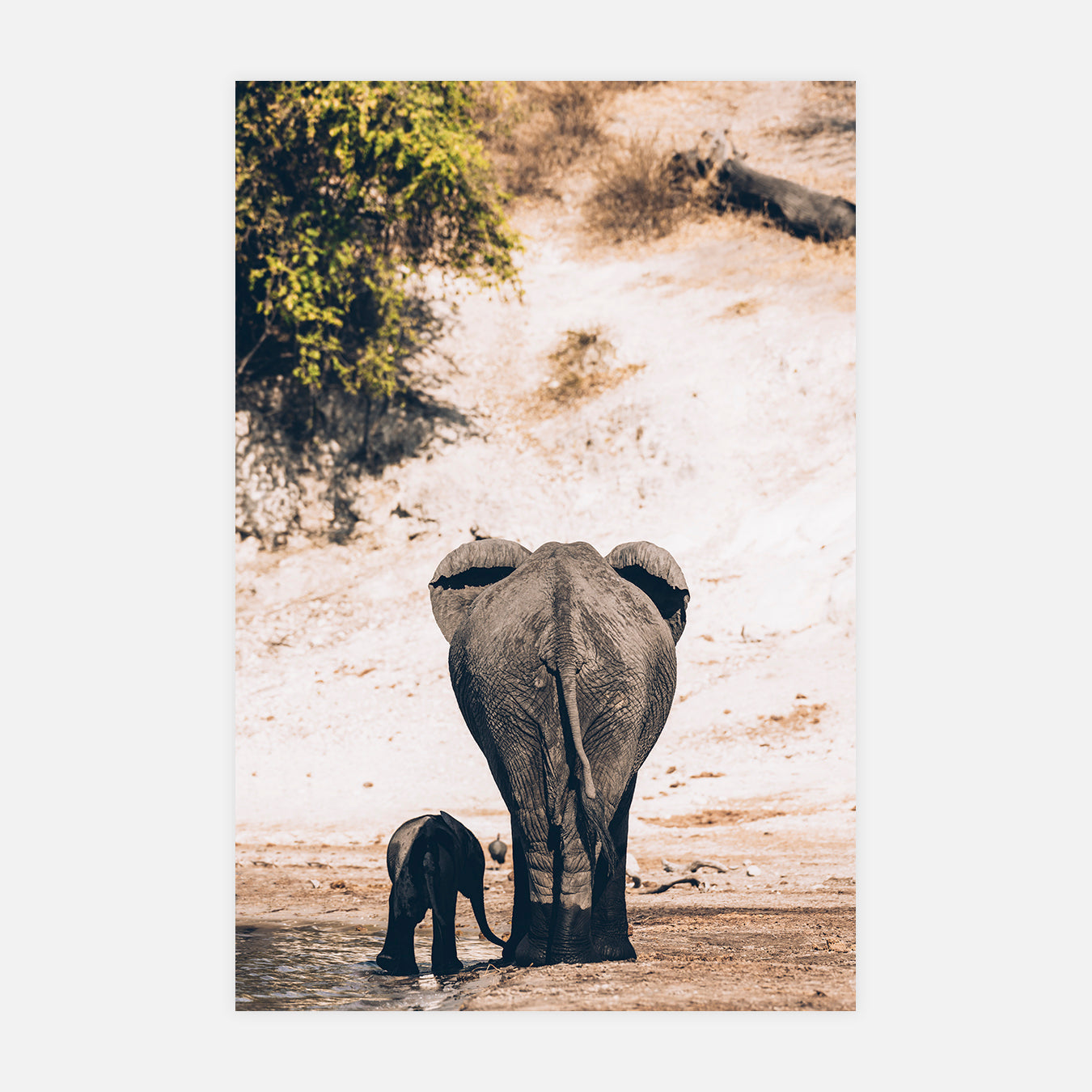 De derrière - Photo d'art