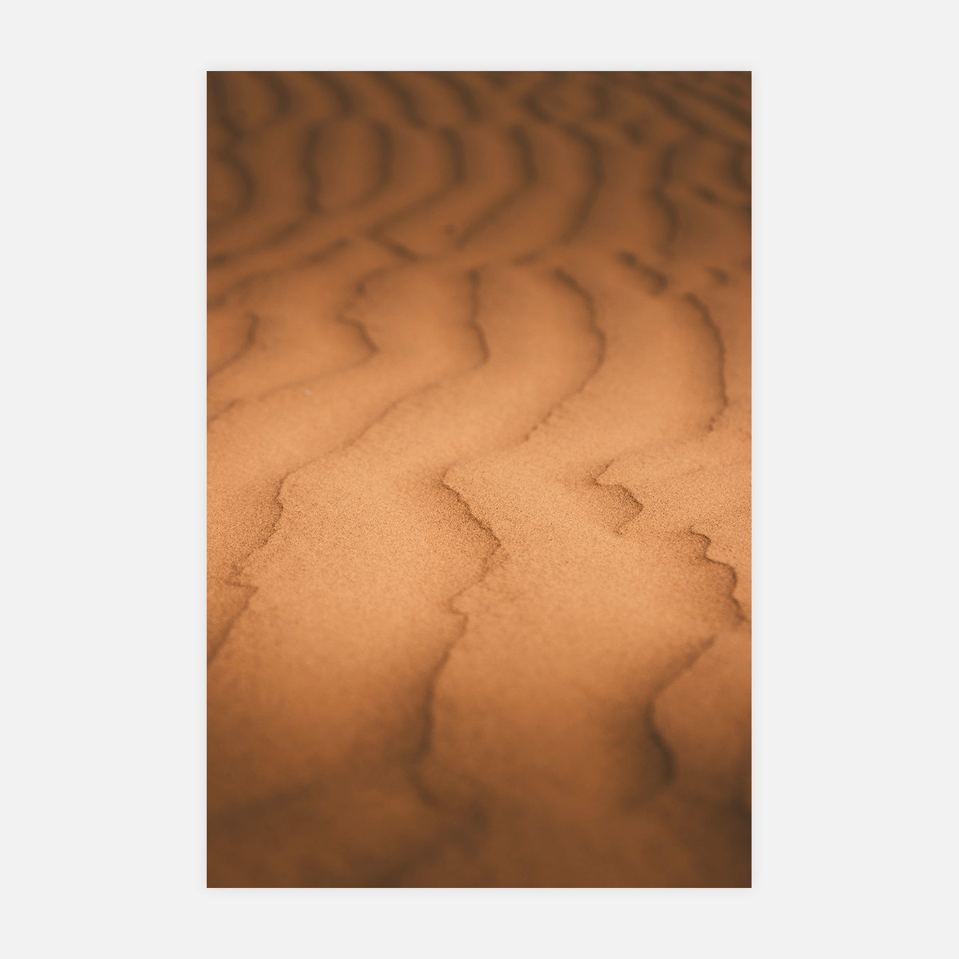 Détails - Photo d'art