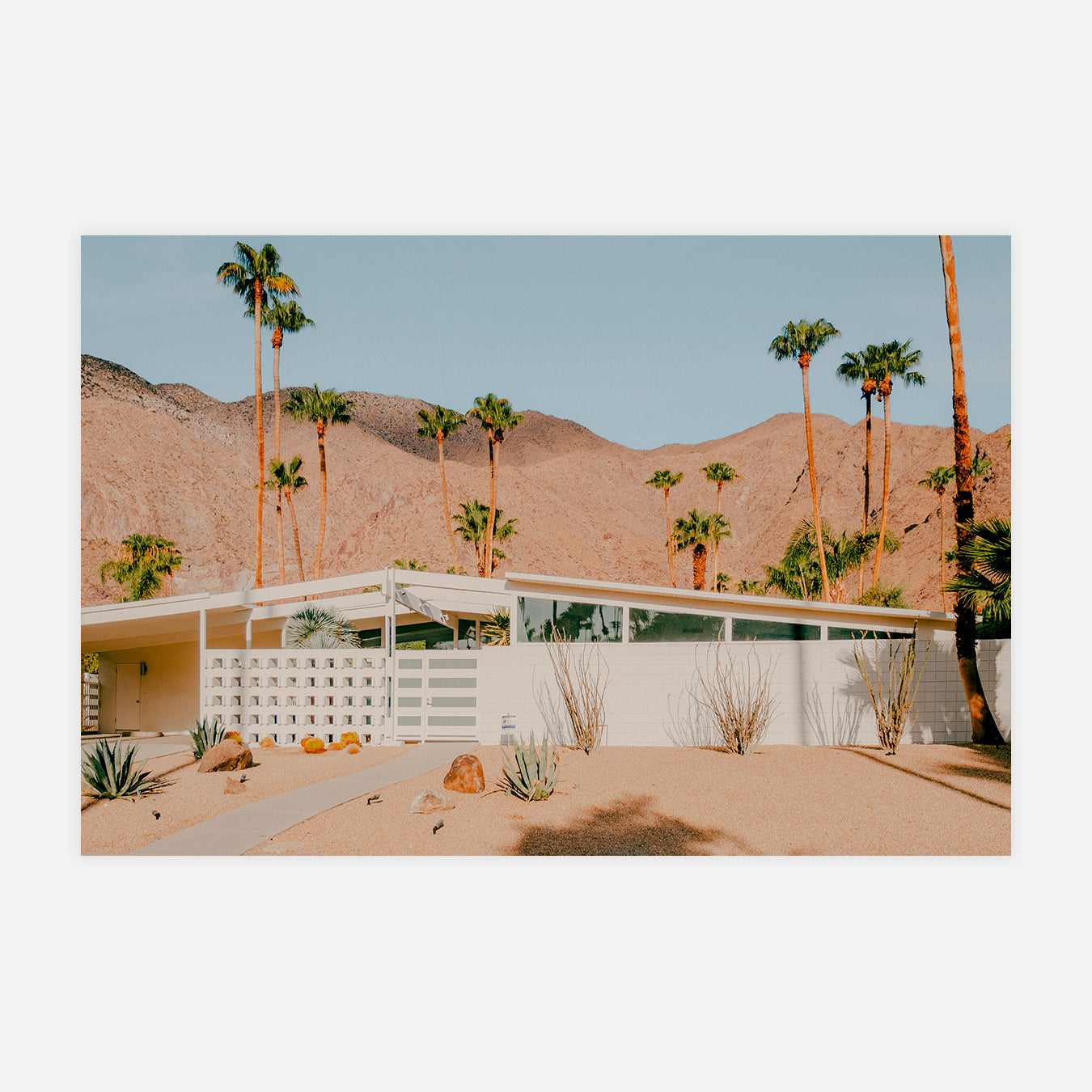 Domaine blanc - Photo d'art