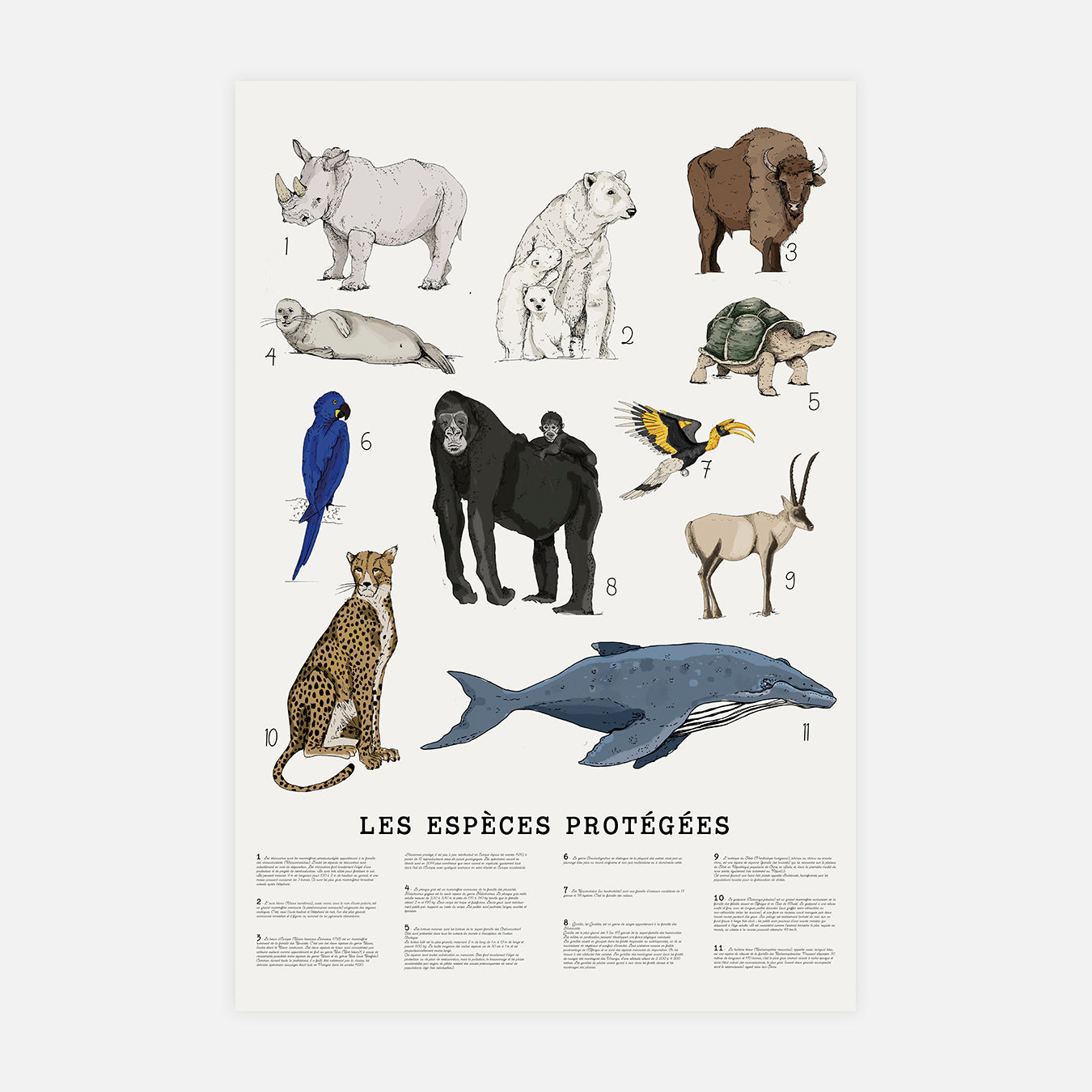 Espèces menacées - Illustration d'art