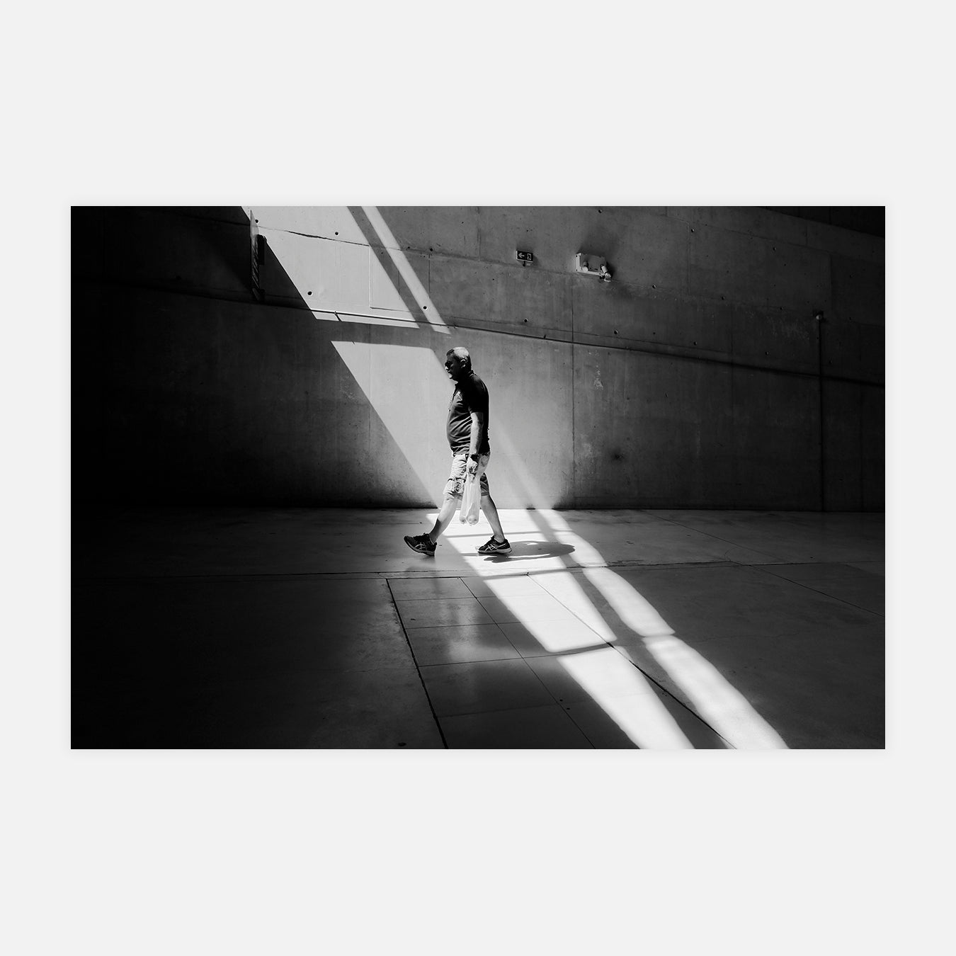 En pleine lumière - Photo d'art