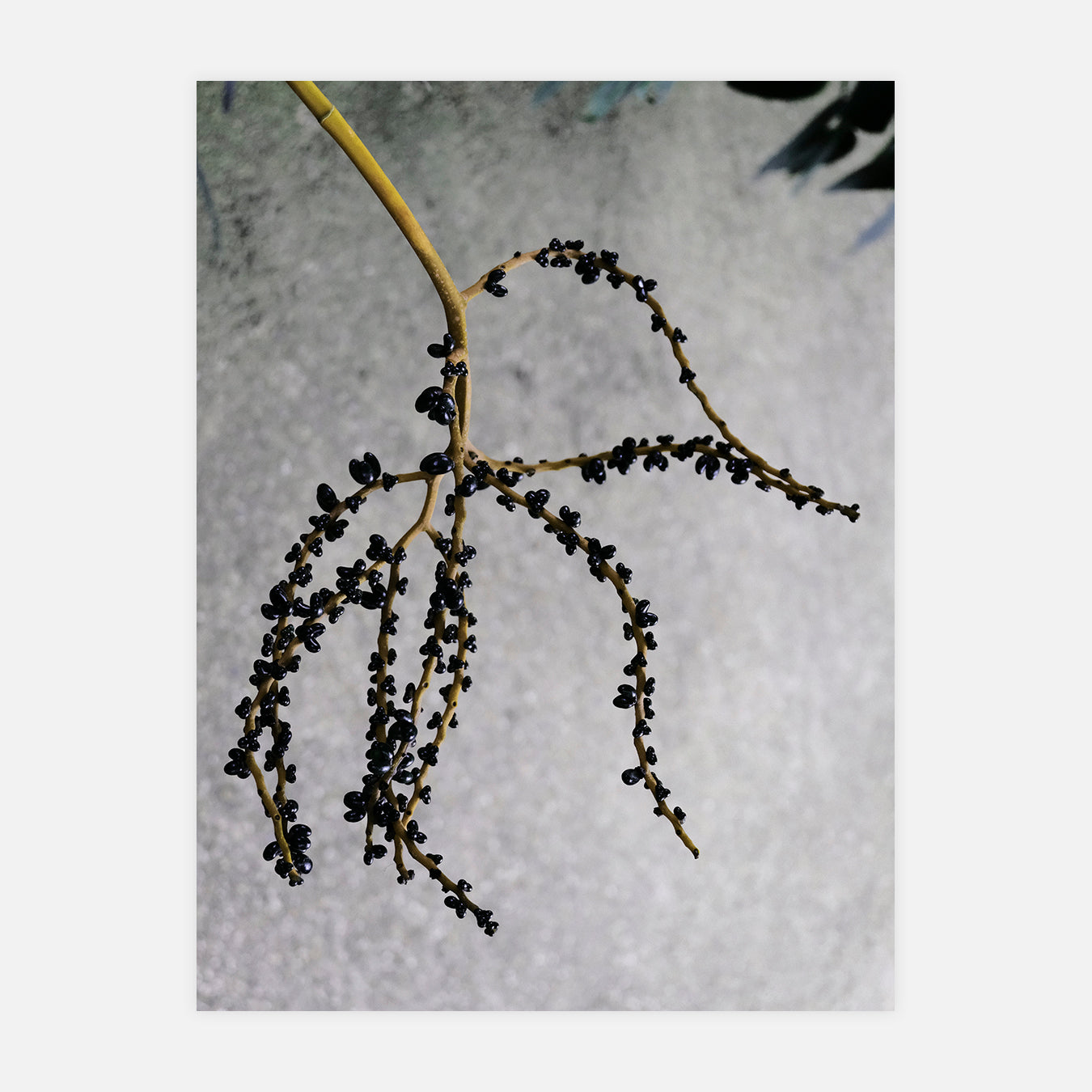 Étrangeté - Photo d'art