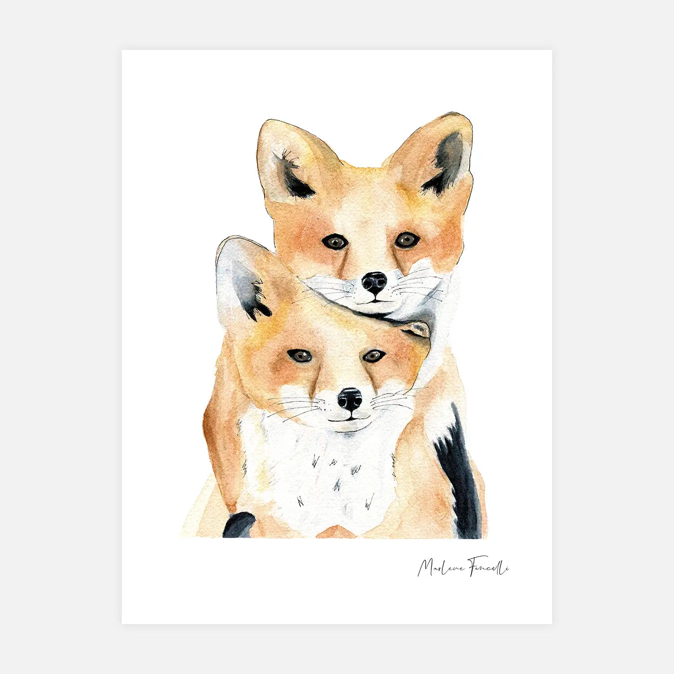 Famille renard - Affiche