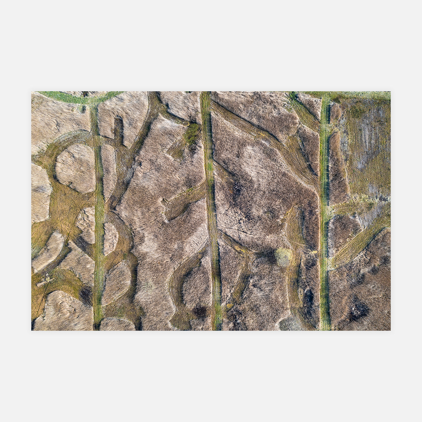 Fauchage - Photo d'art