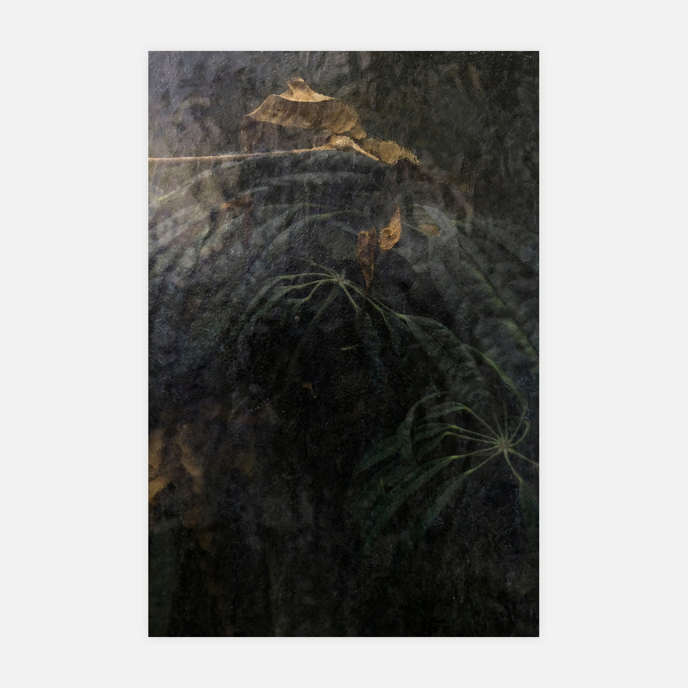 Figée - Photo d'art