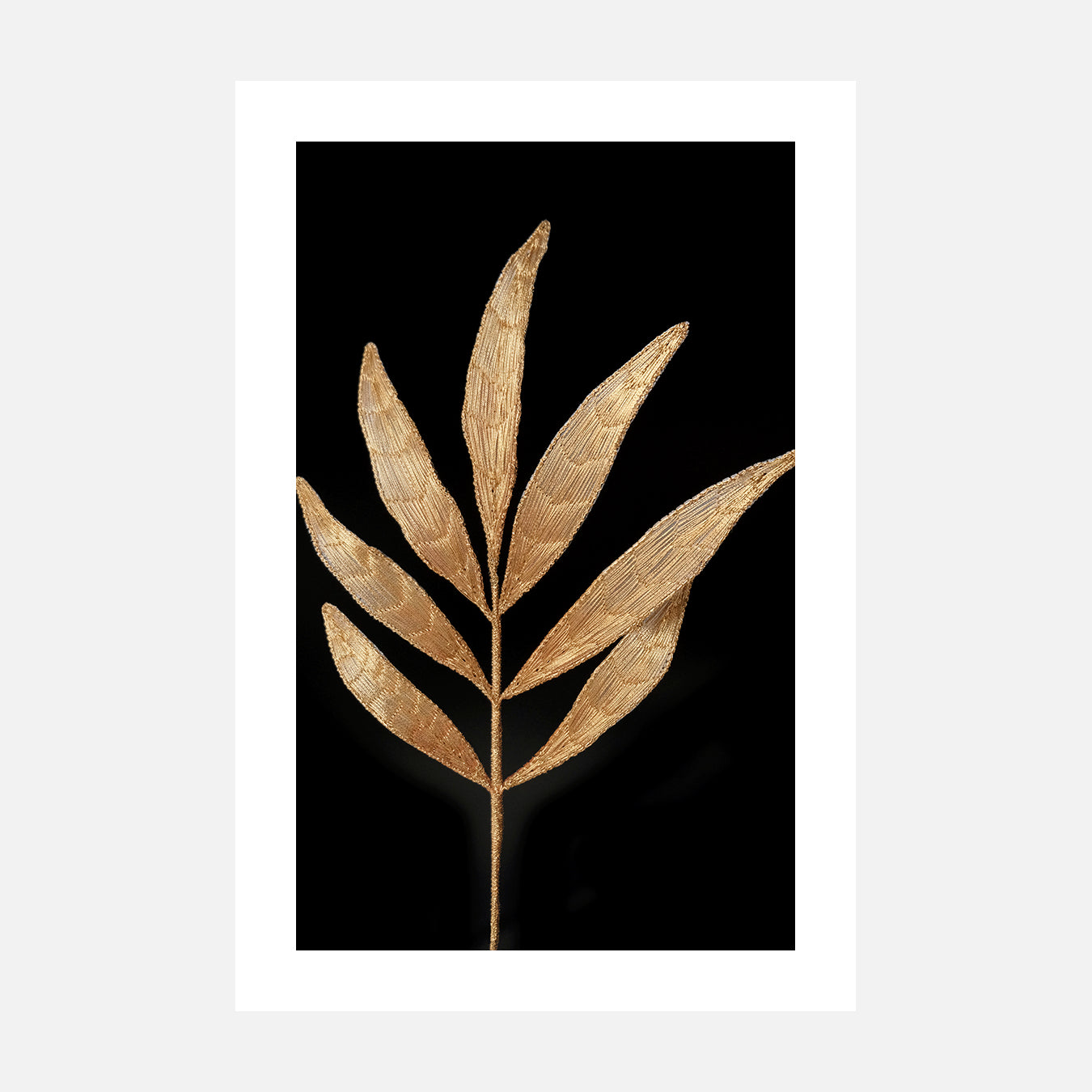 Foliage - Photo d'art