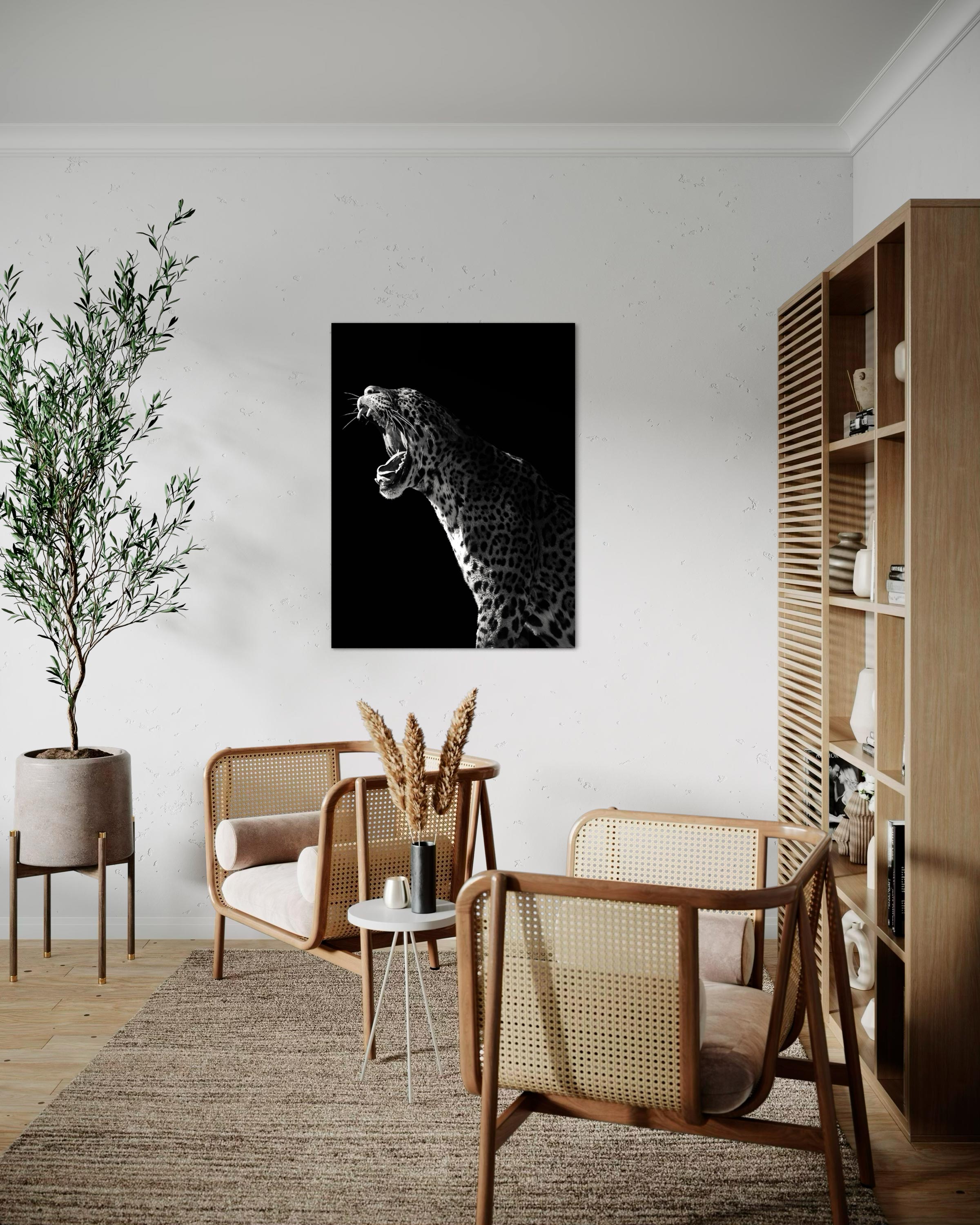 Gueule de panthère - Photo d'art