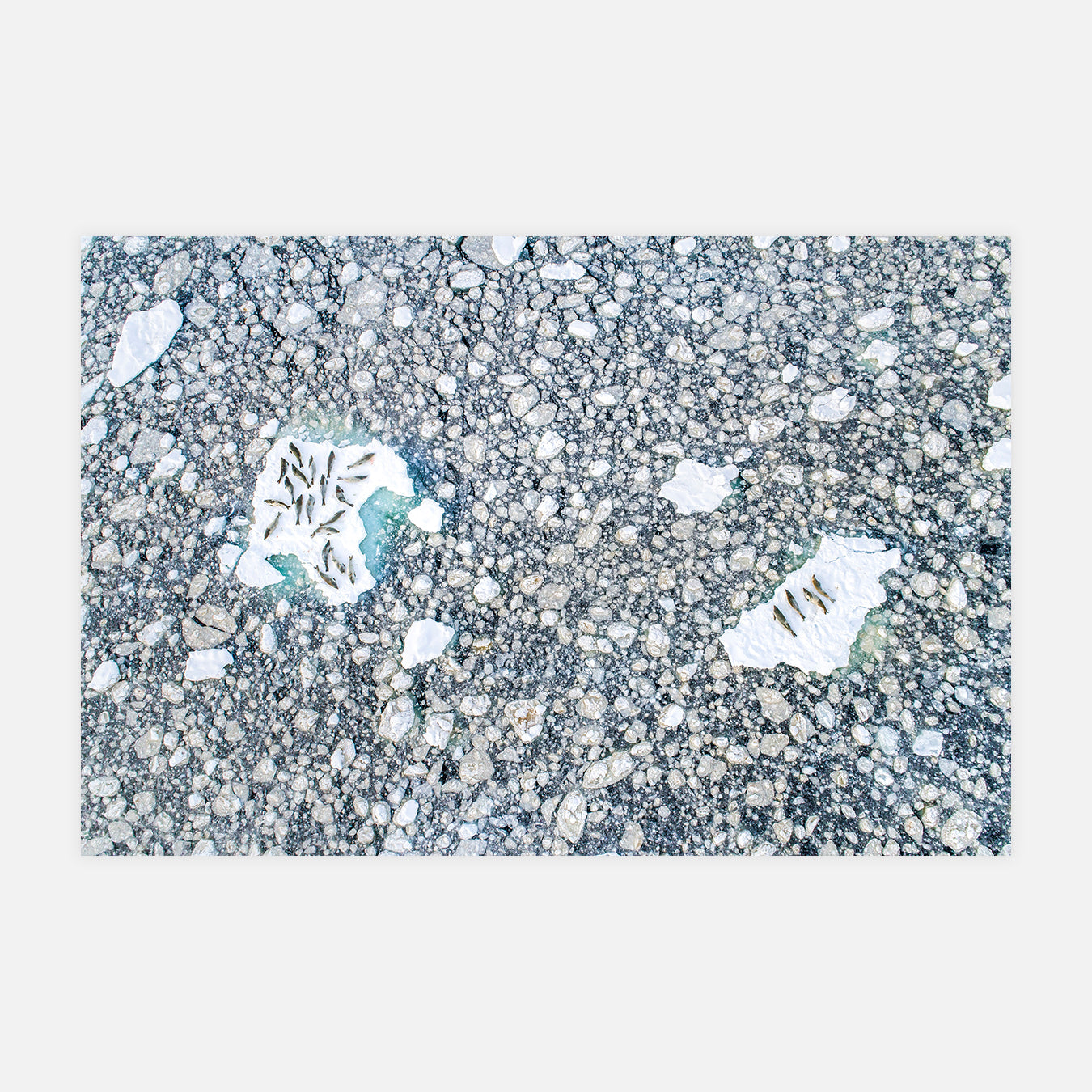 Lit de glace - Photo d'art