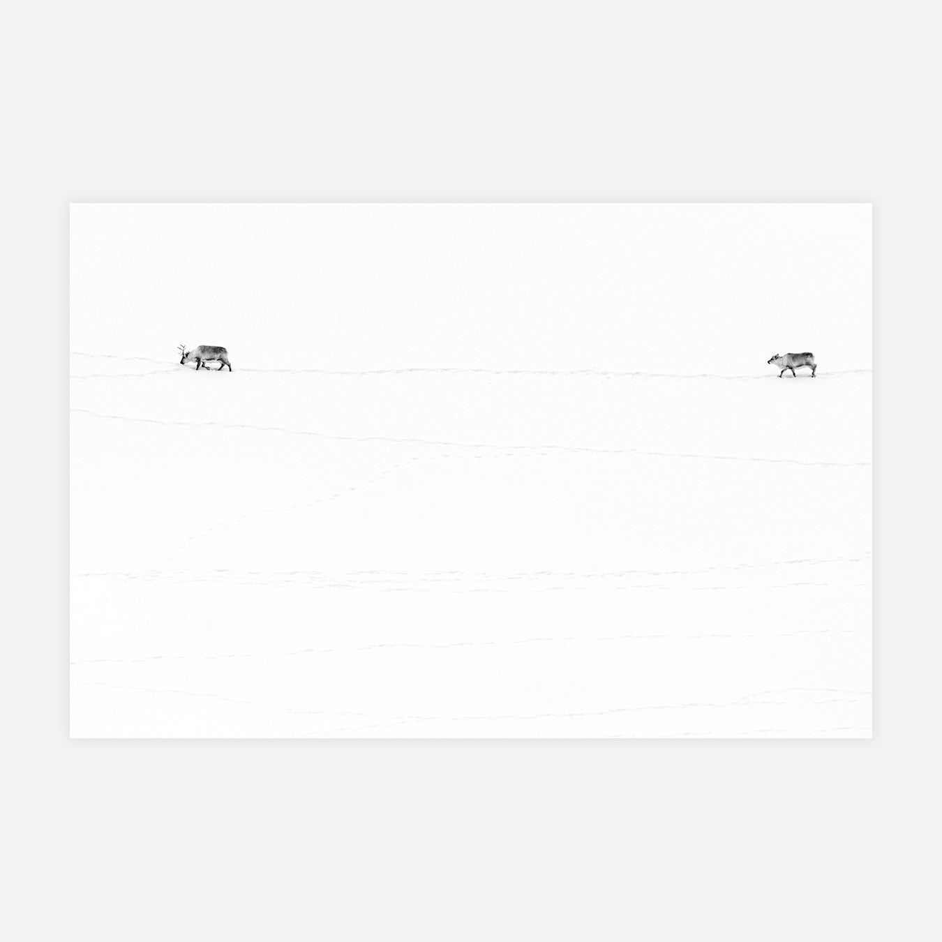 La vie rude - Photo d'art