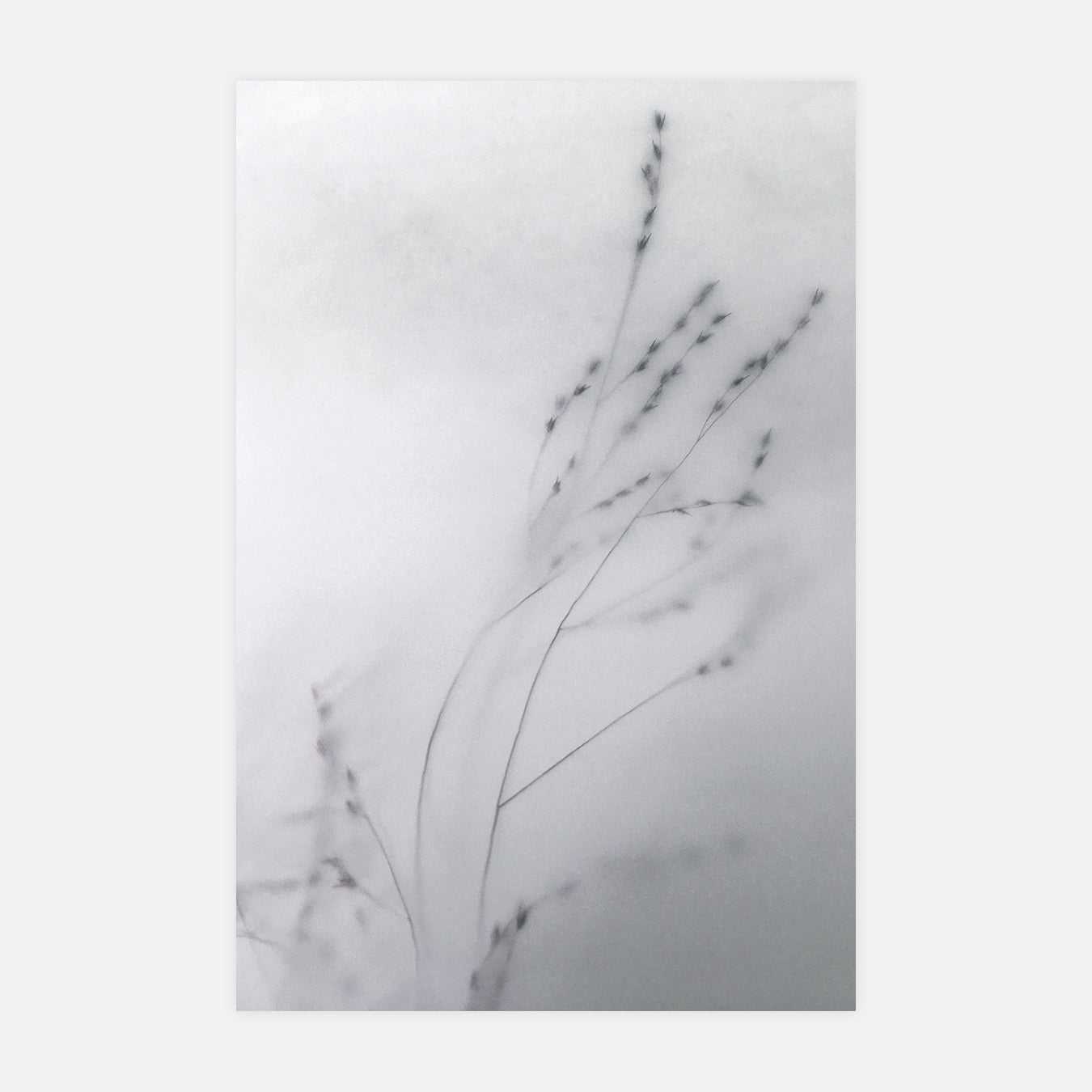 Le début - Photo d'art