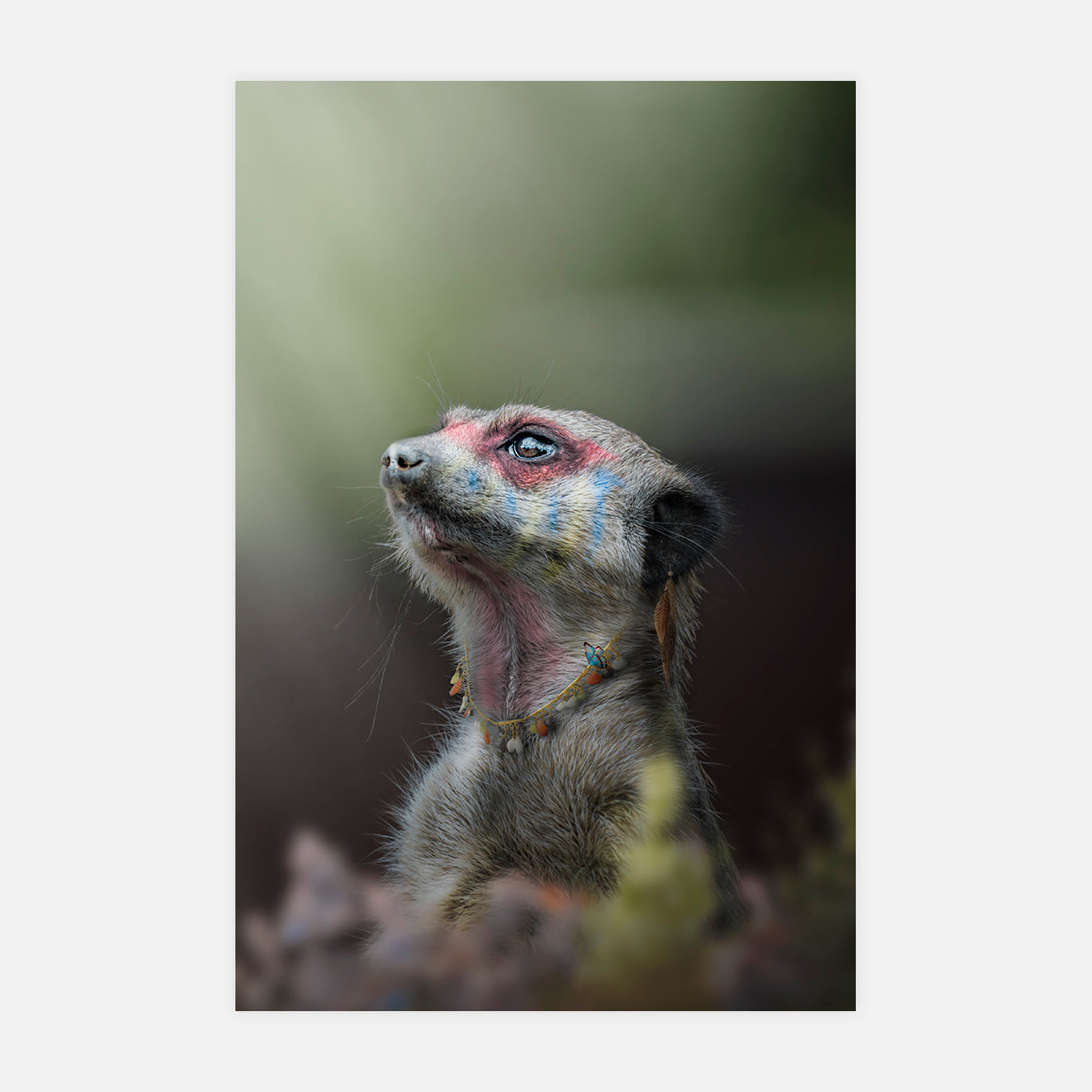 Le grand chef suricate - Art digital