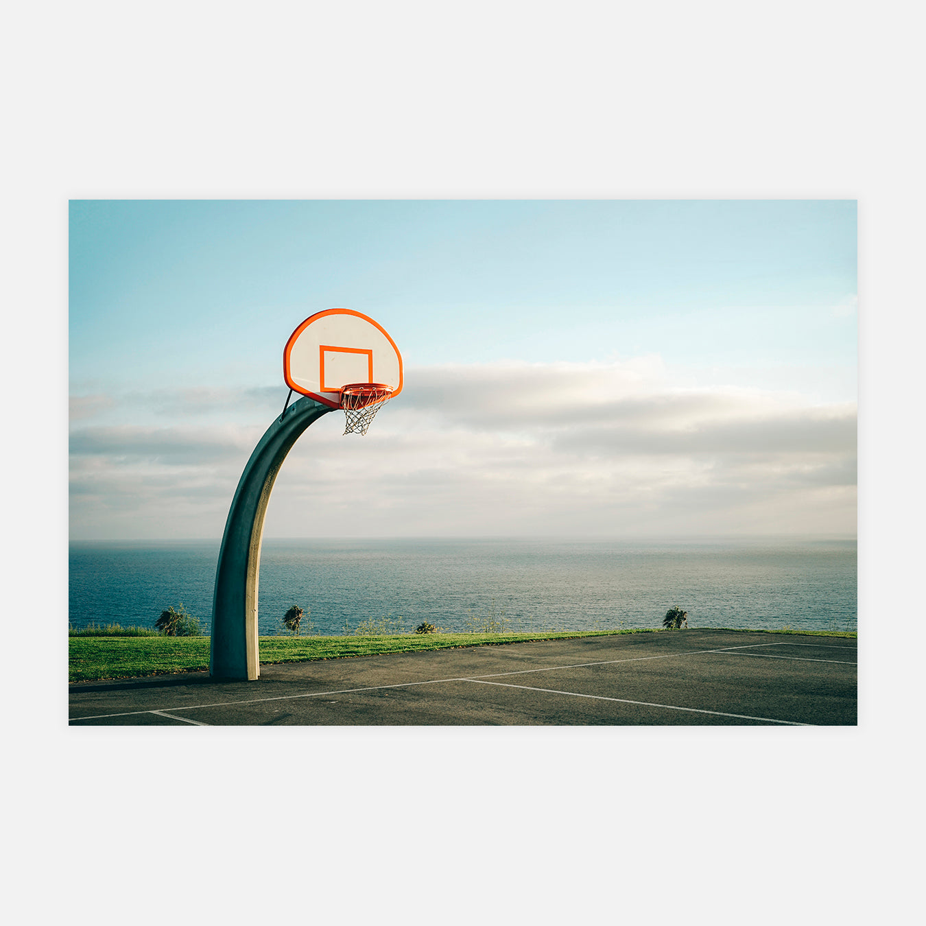 Le Brontosaure - Photo d'art