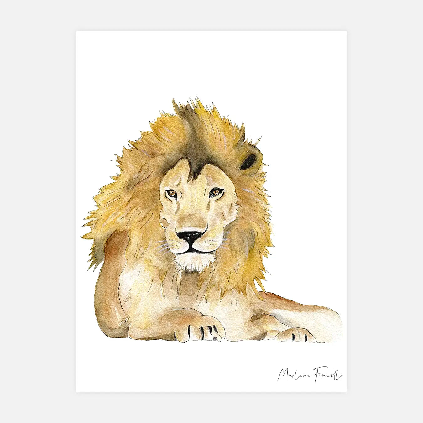 Léo le lion - Illustration enfant