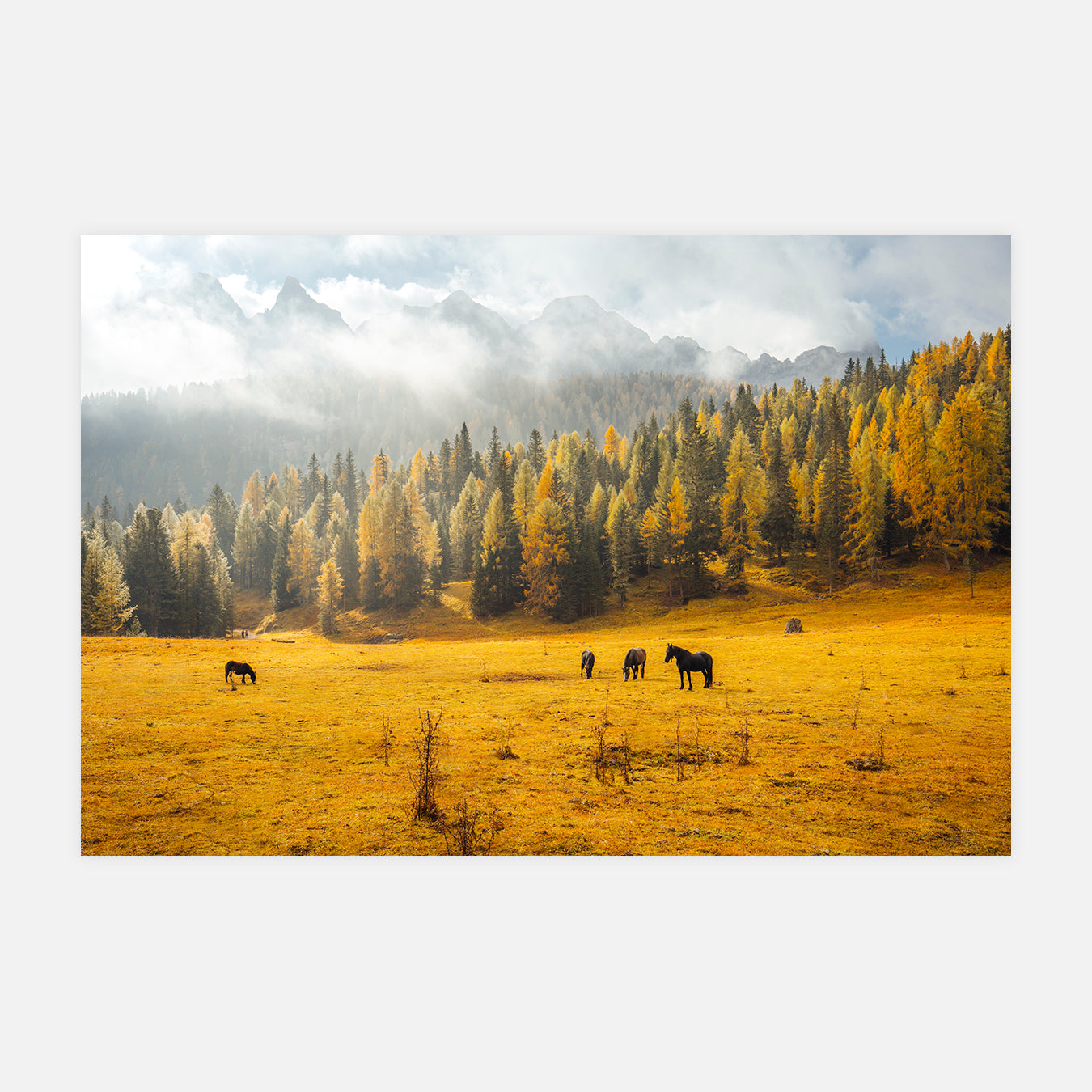 Le temps met tout en lumière - Photo d'art