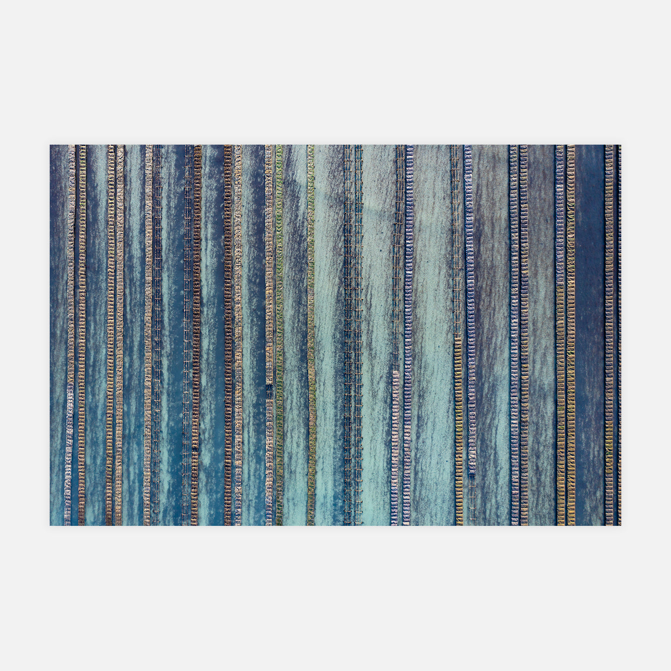 Linéaires ostréicoles - Photo d'art