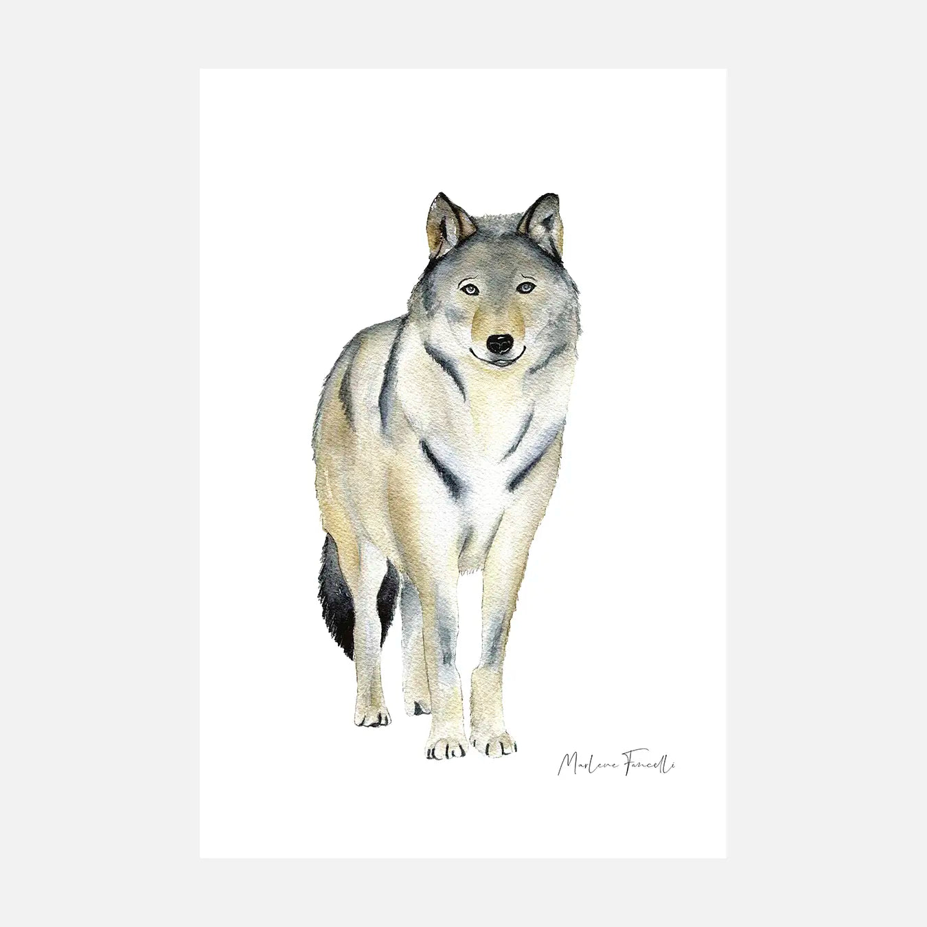 Milo le loup - Peinture et illustration d'art