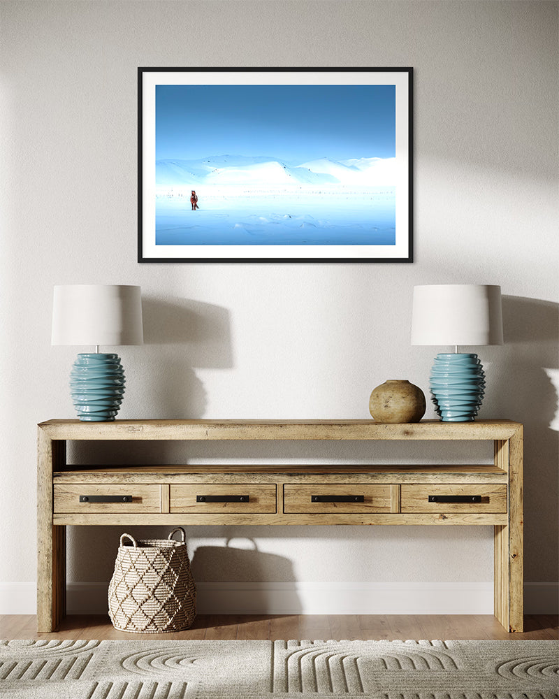 Melrakkaslétta - Photo d'art