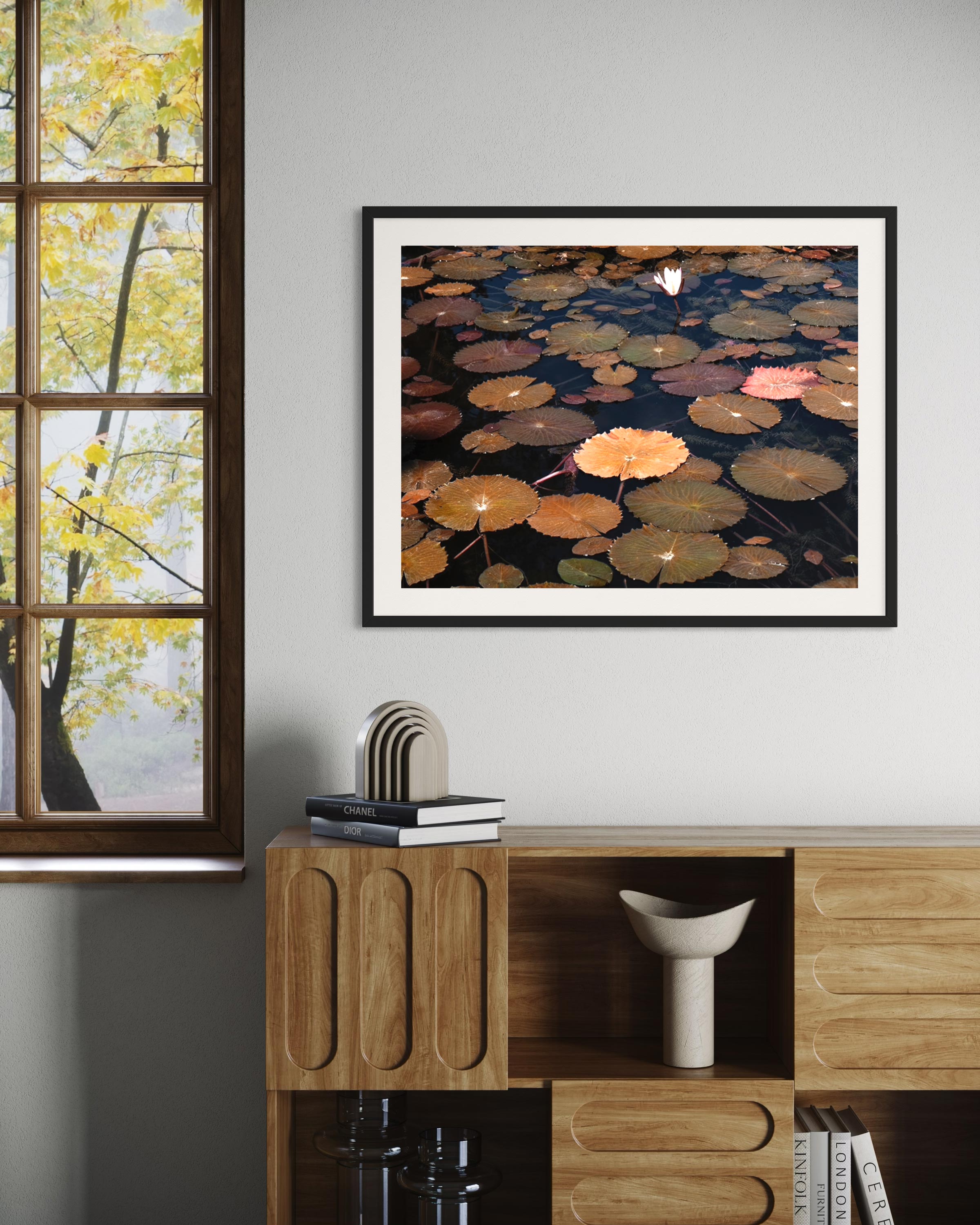 Merveille - Photo d'art