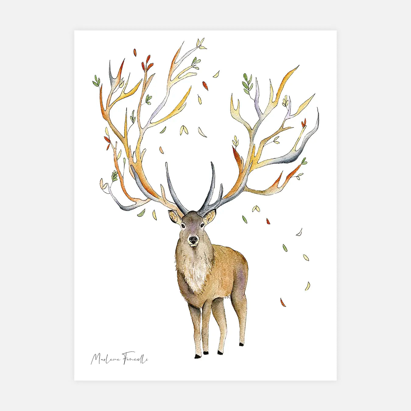 Miral le cerf - Illustration enfant