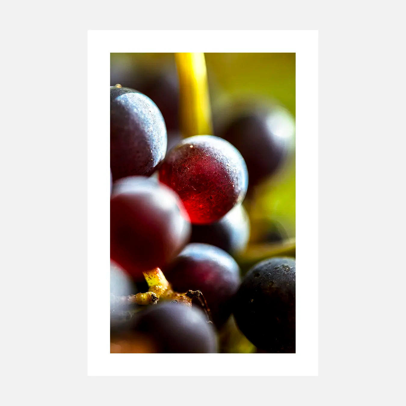 Éclats rouges - Photo d'art