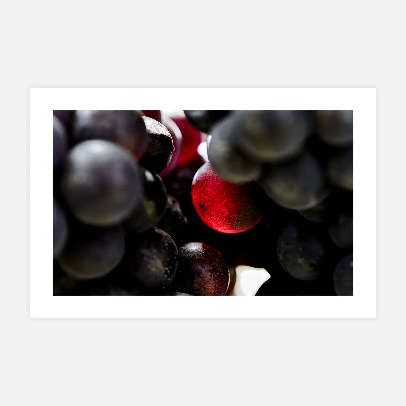 Rubis de vigne - Photo d'art