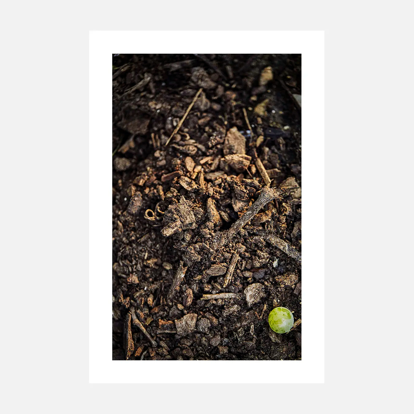 Le dernier grain - Photo d'art