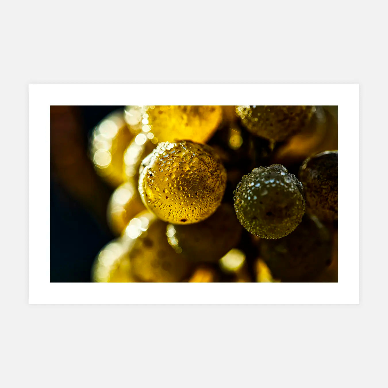 Alchimie solaire - Photo d'art