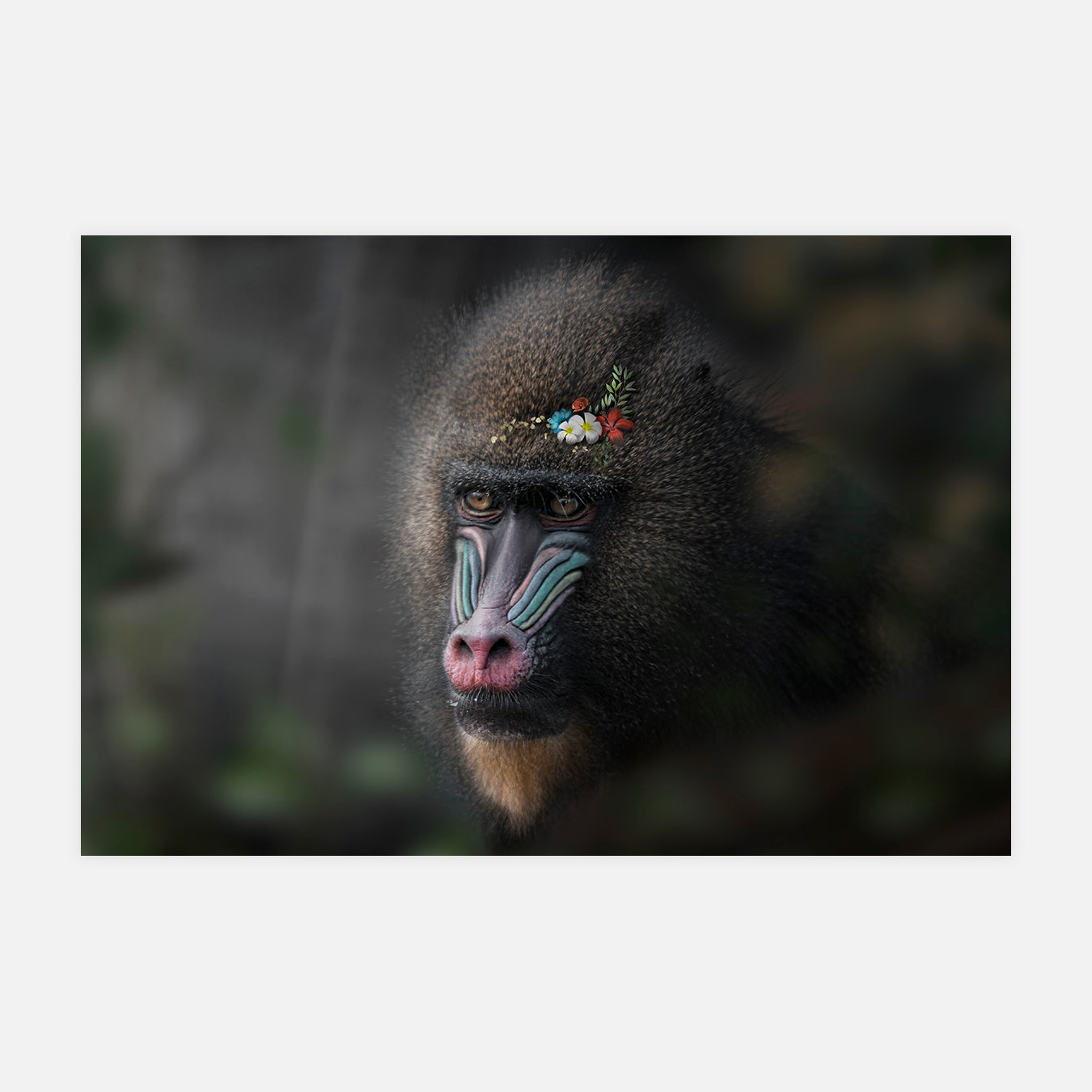 L'obstination - Art digital