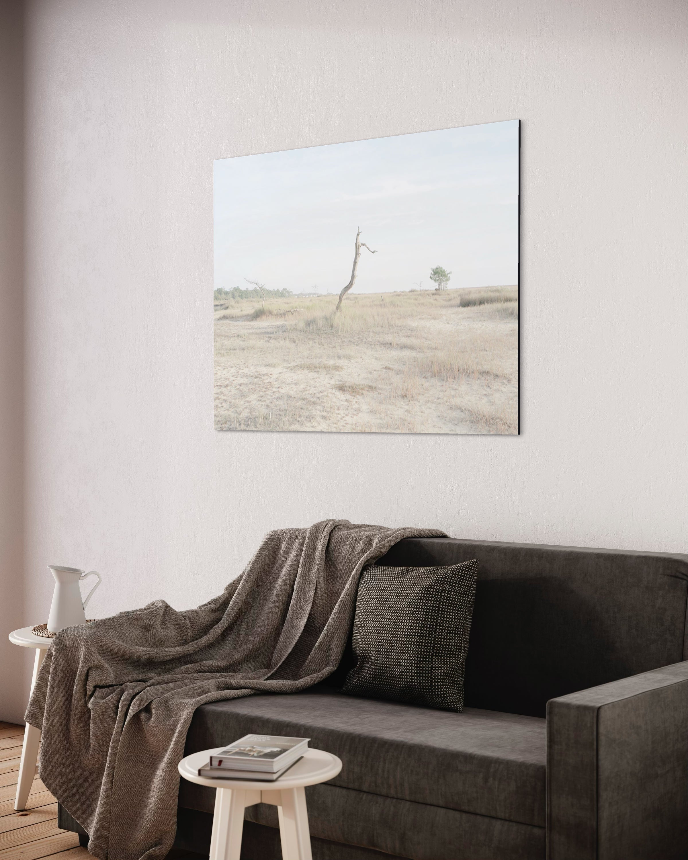 Old friend - Photo d'art