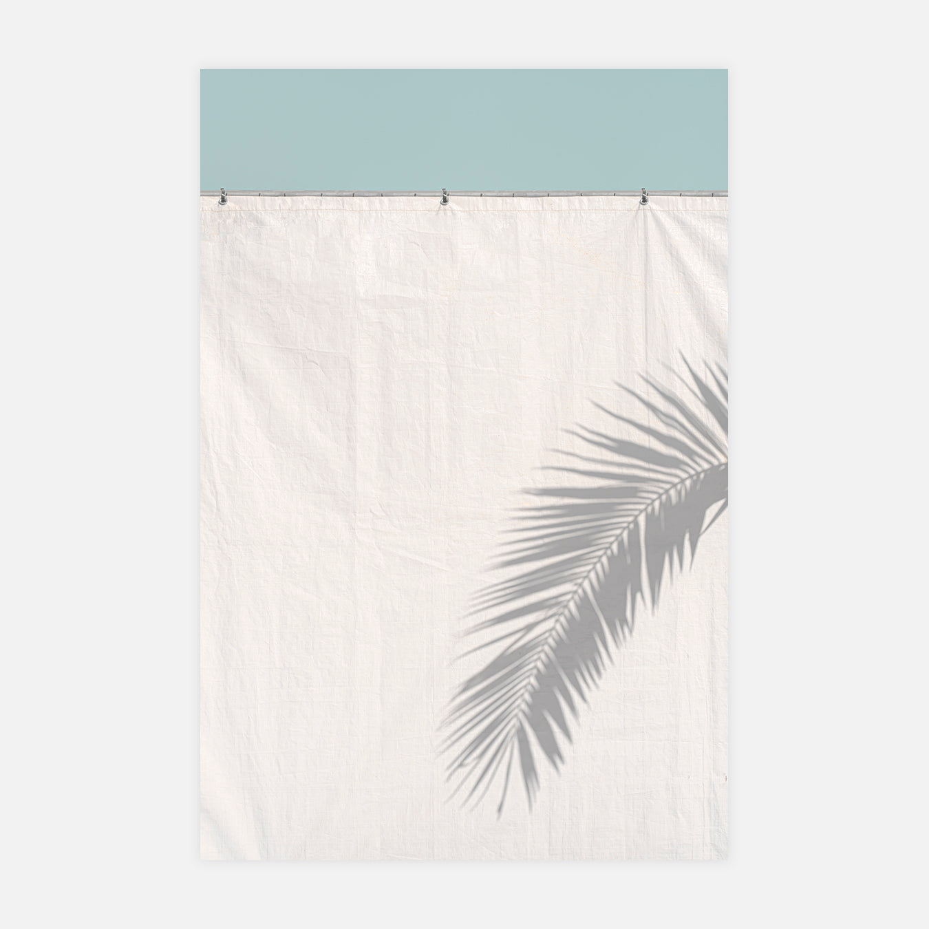 L'ombre du palmier - Photo d'art